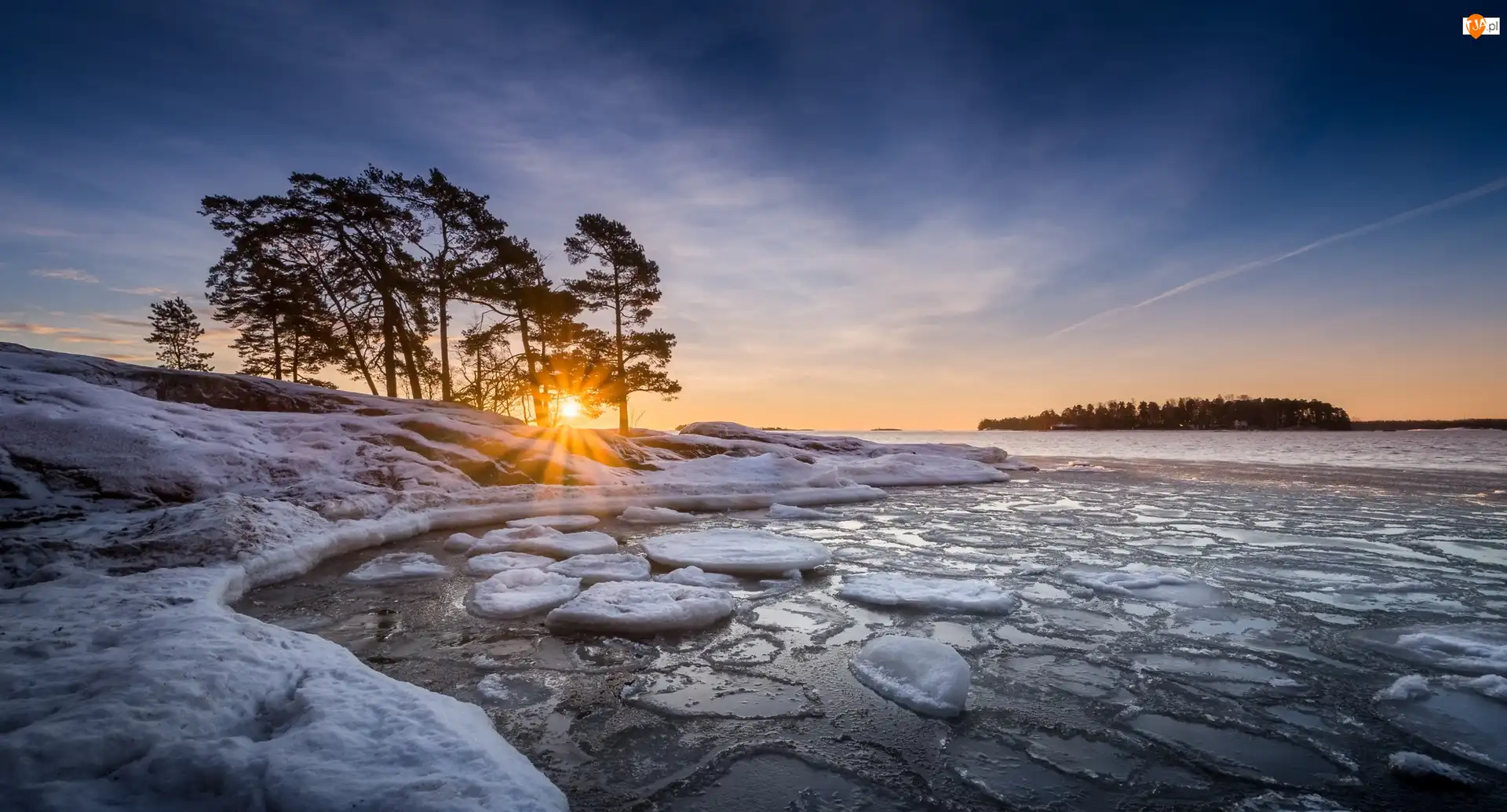 Drzewa, Zima, Promienie słońca, Morze, Helsinki, Finlandia, Plaża Kallahdenniemi, Półwysep Kallviksudden, Zatoka, Zachód słońca