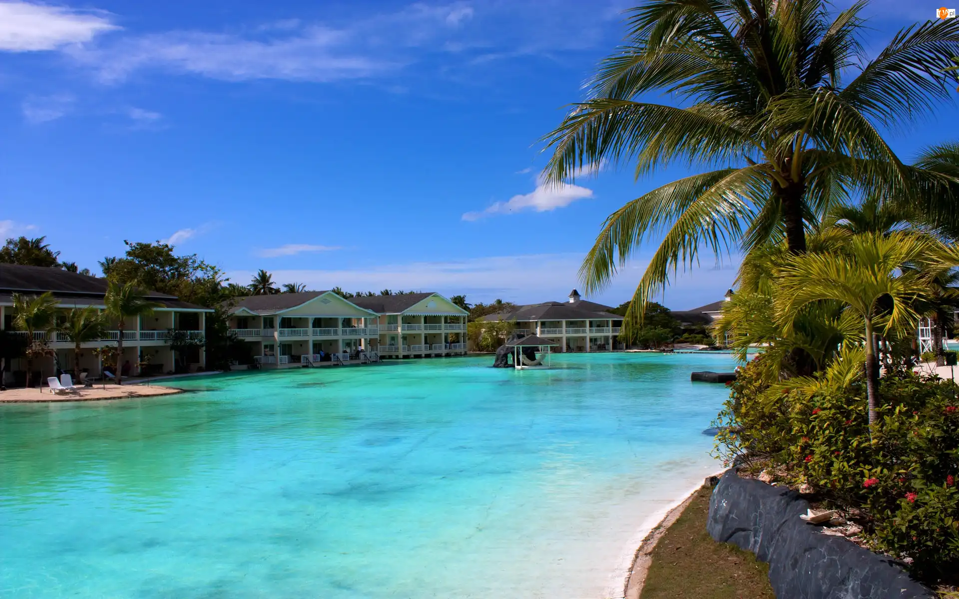 Palmy, Hotel, Morze