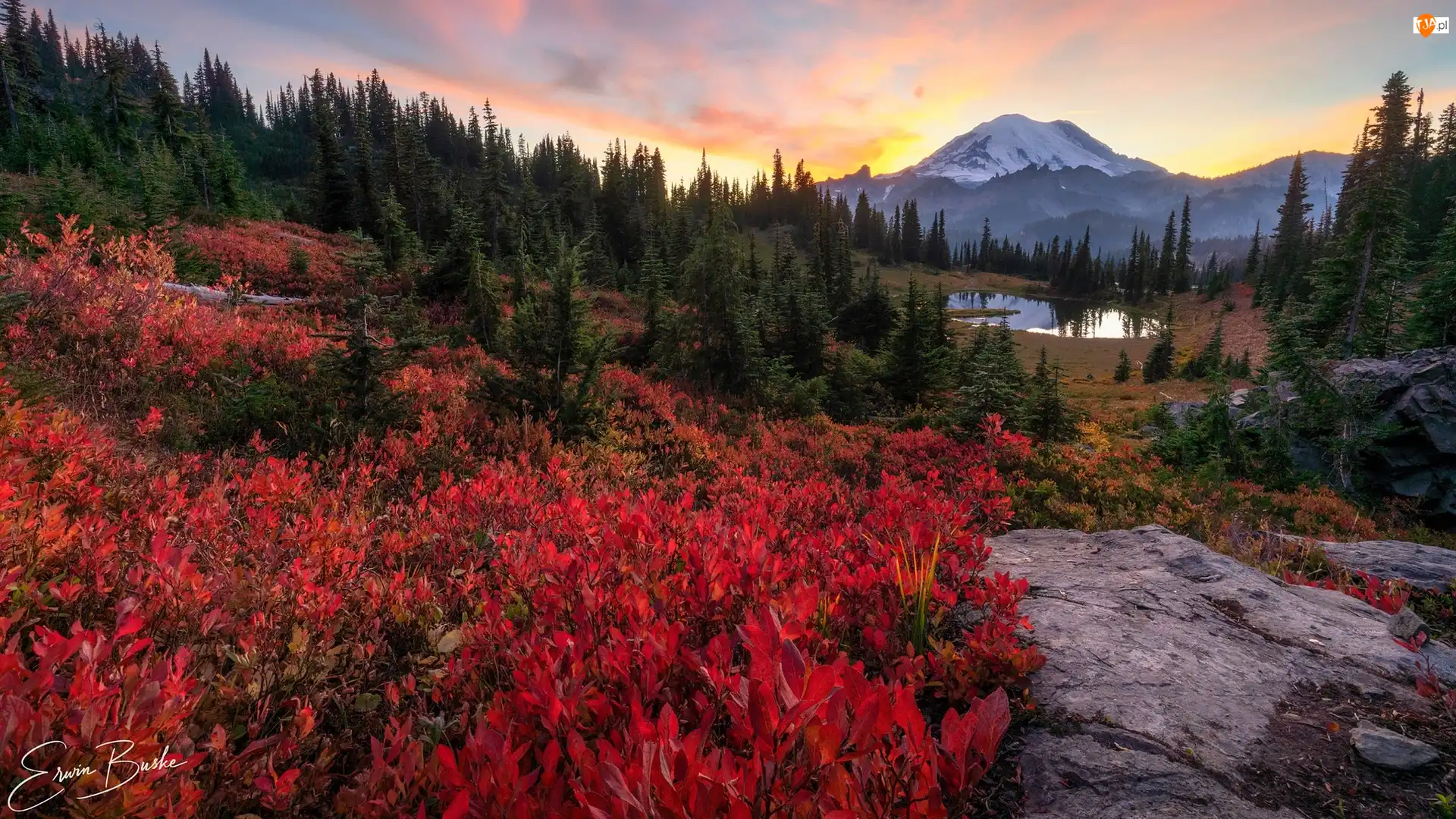 Roślinność, Drzewa, Skały, Jezioro, Stan Waszyngton, Stany Zjednoczone, Góry, Park Narodowy Mount Rainier, Lasy, Kolorowa
