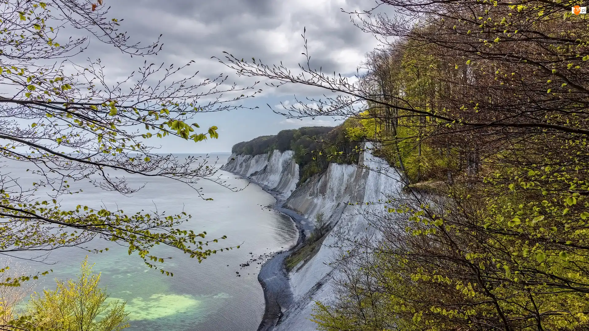 Chmury, Klify, Morze, Drzewa