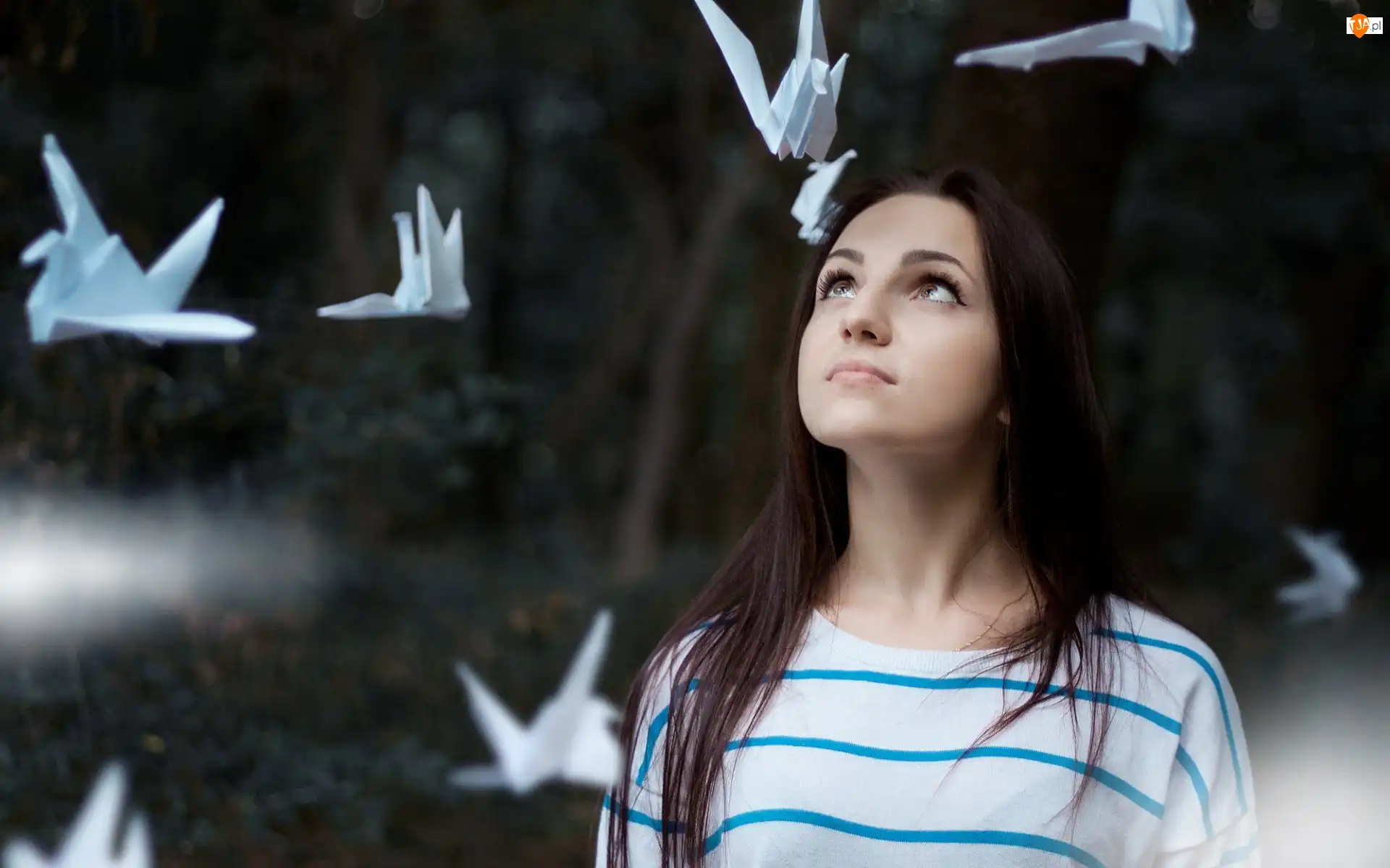 Origami, Dziewczyna, Brunetka