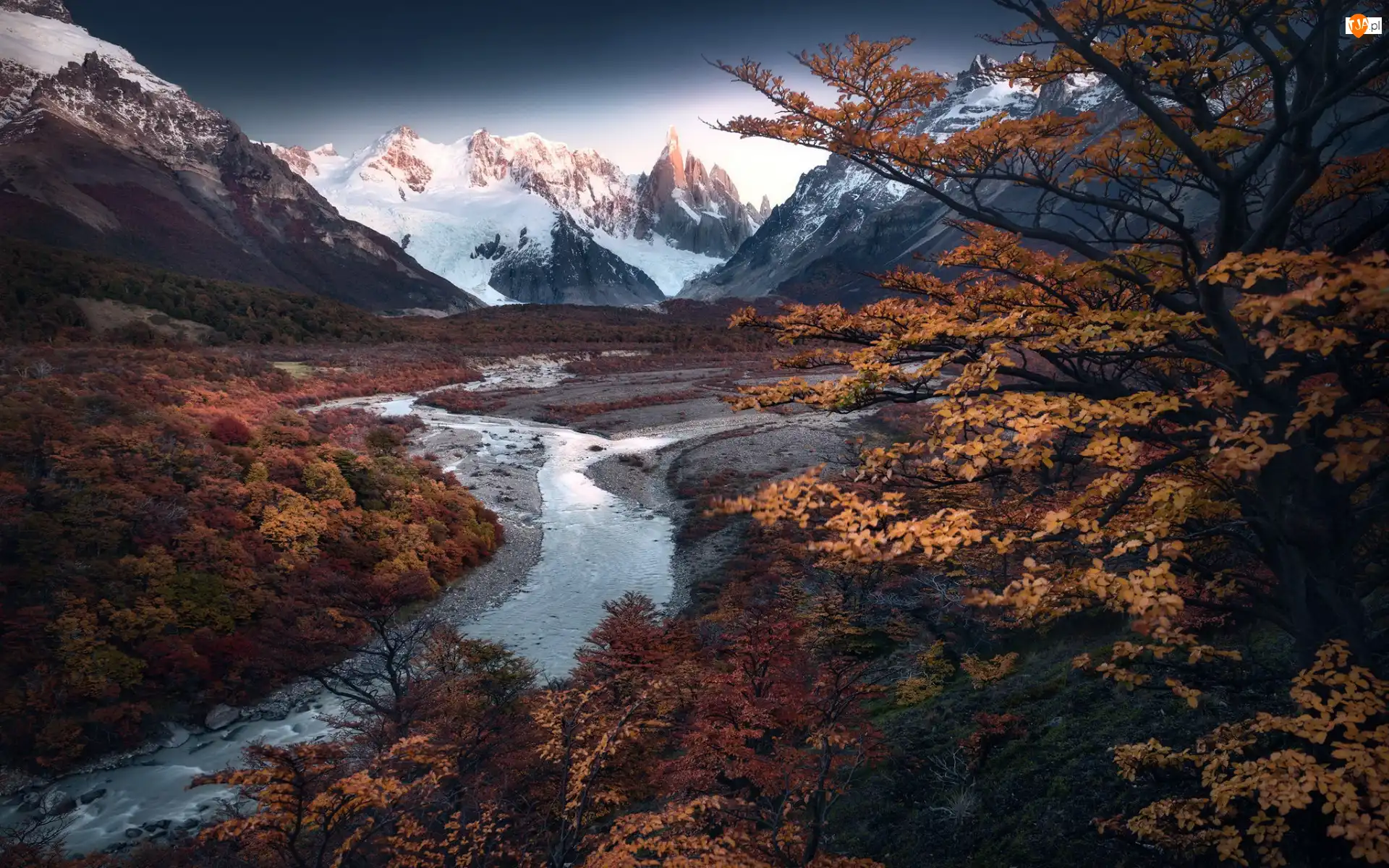 Argentyna, Jesień, Rzeka, Drzewa, Andy, Góry, Cerro Torre, Szczyt, Park Narodowy Los Glaciares, Patagonia