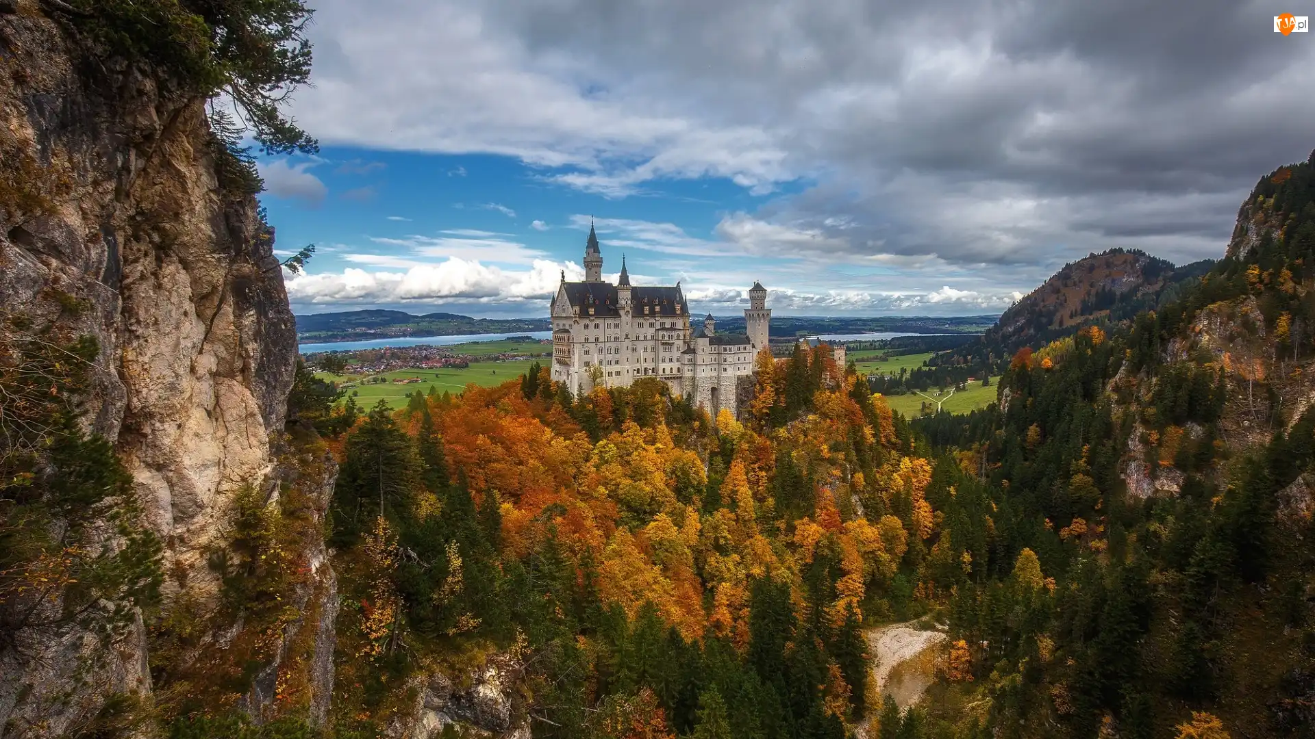 Bawaria, Niemcy, Skały, Drzewa, Zamek Neuschwanstein, Lasy