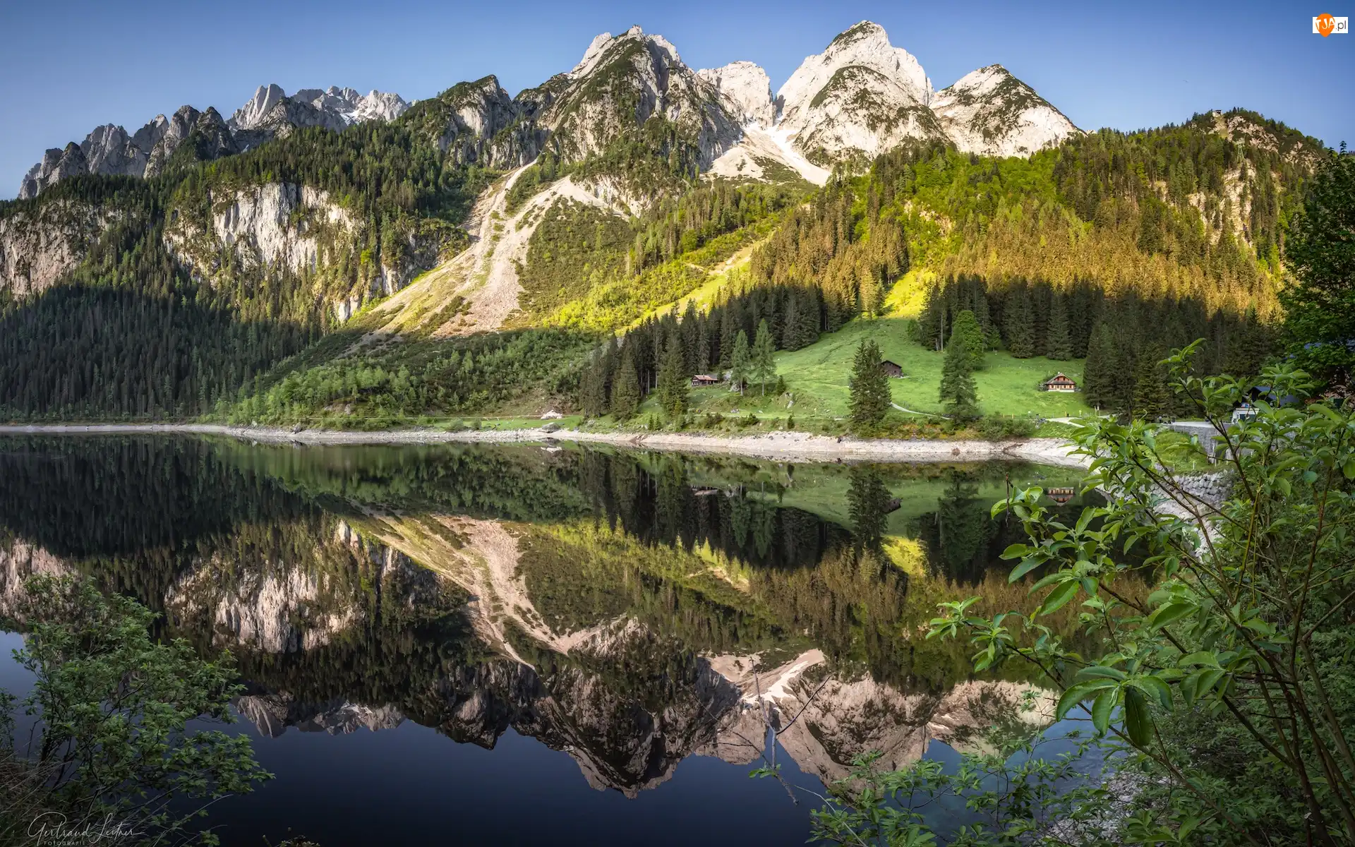 Góry, Austria, Jezioro Gosauseen, Odbicie, Dachstein, Drzewa