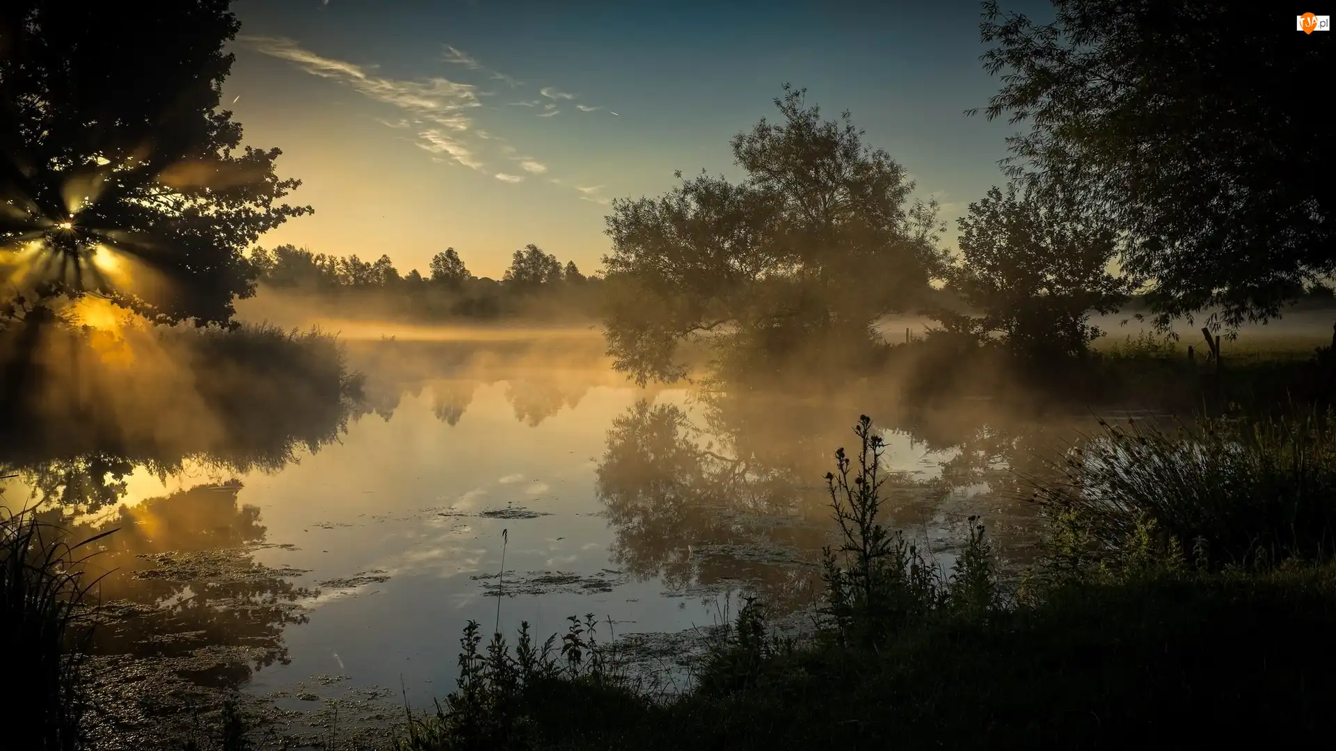 Mgła, Rzeka, Drzewa, Promienie słońca