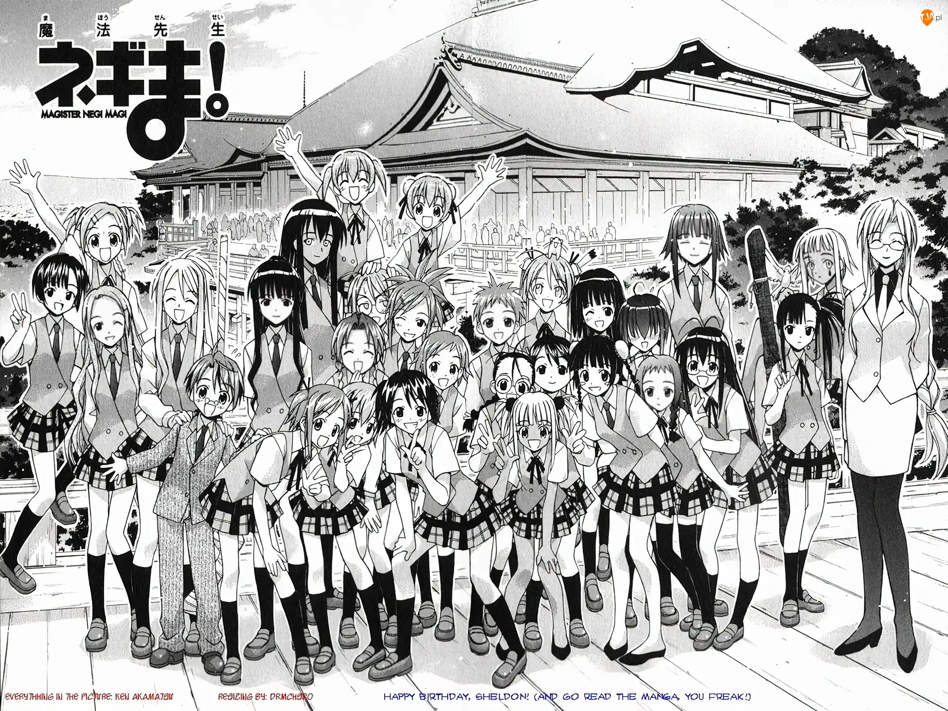 kobieta, dziewczynki, szkoła, Mahou Sensei Negima, dzieci