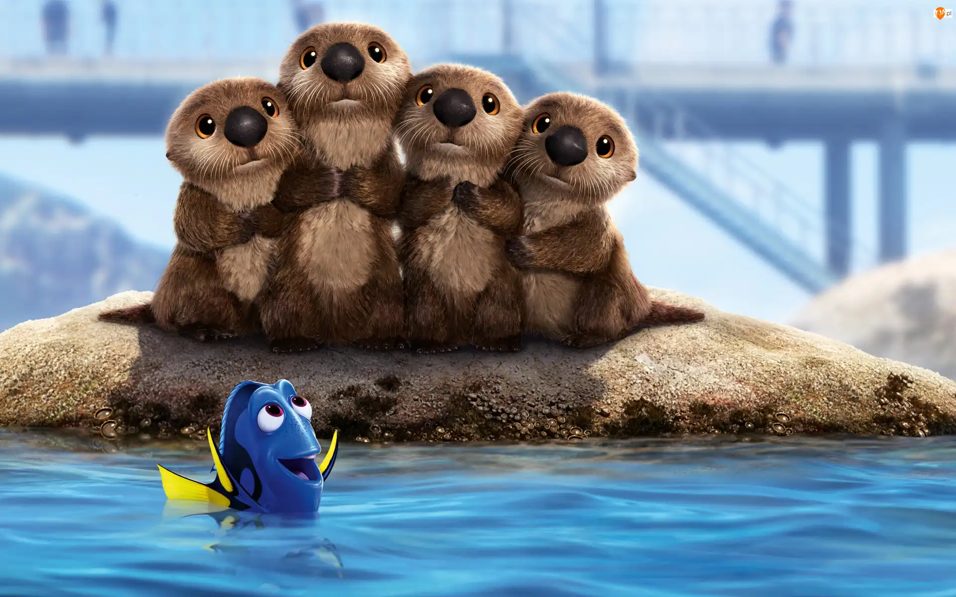 Bajka, Gdzie jest Dory, Rybka Dory, Film animowany, Wydry, Cztery, Finding Dory