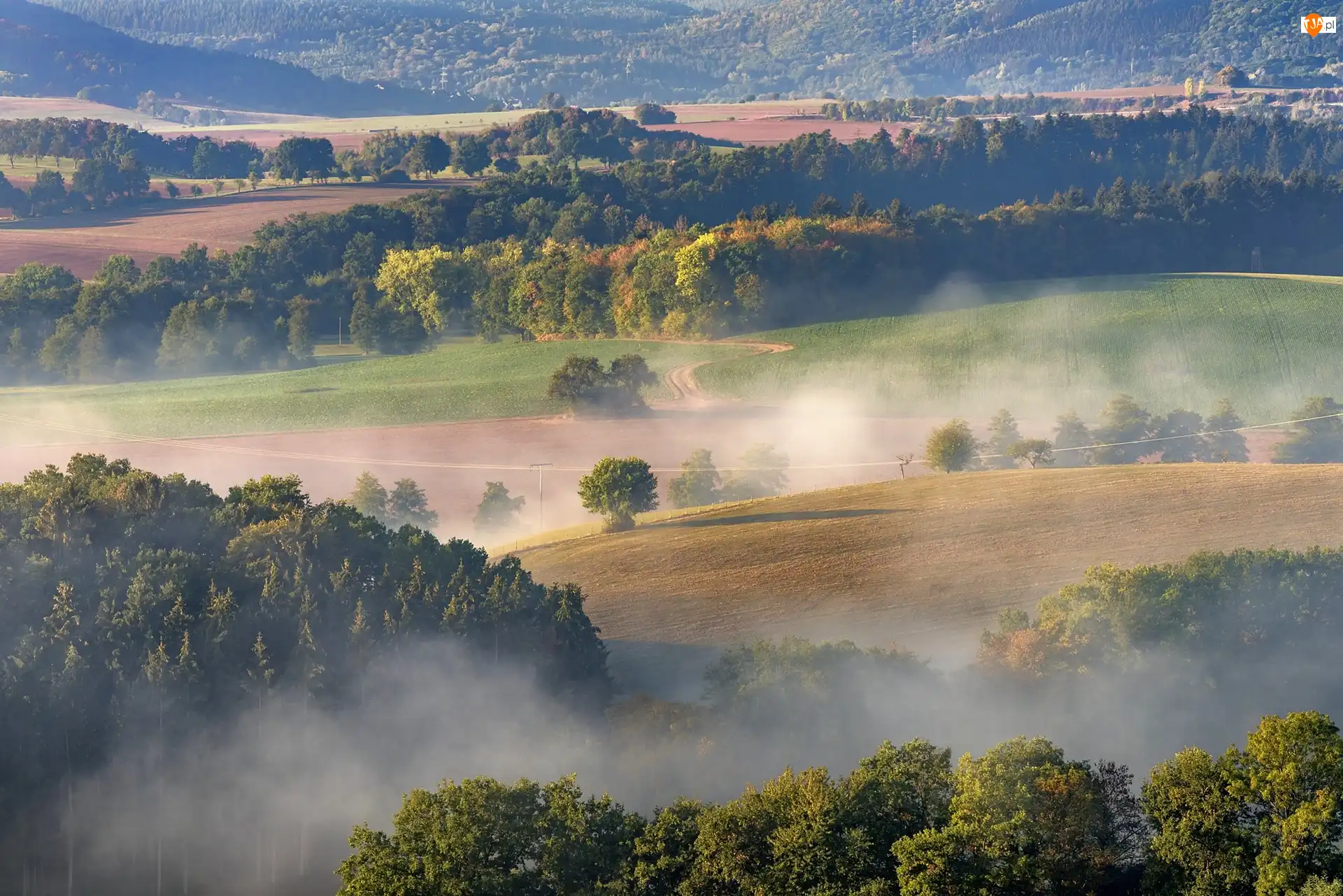Mgła, Drzewa, Wzgórza, Pola