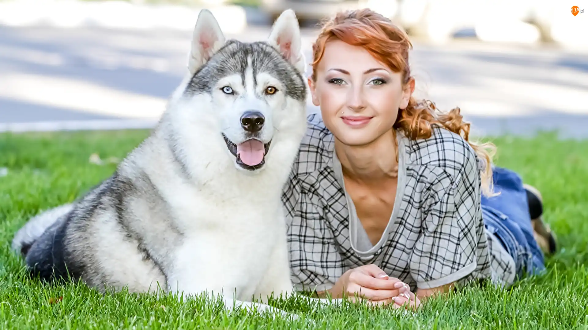 Uśmiech, Pies, Siberian husky, Kobieta