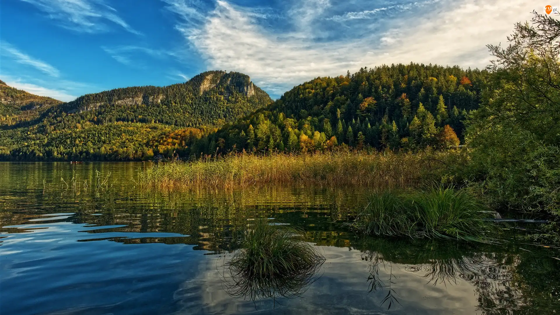 Jezioro, Góry, Szuwary, Trawy, Drzewa, Kępki