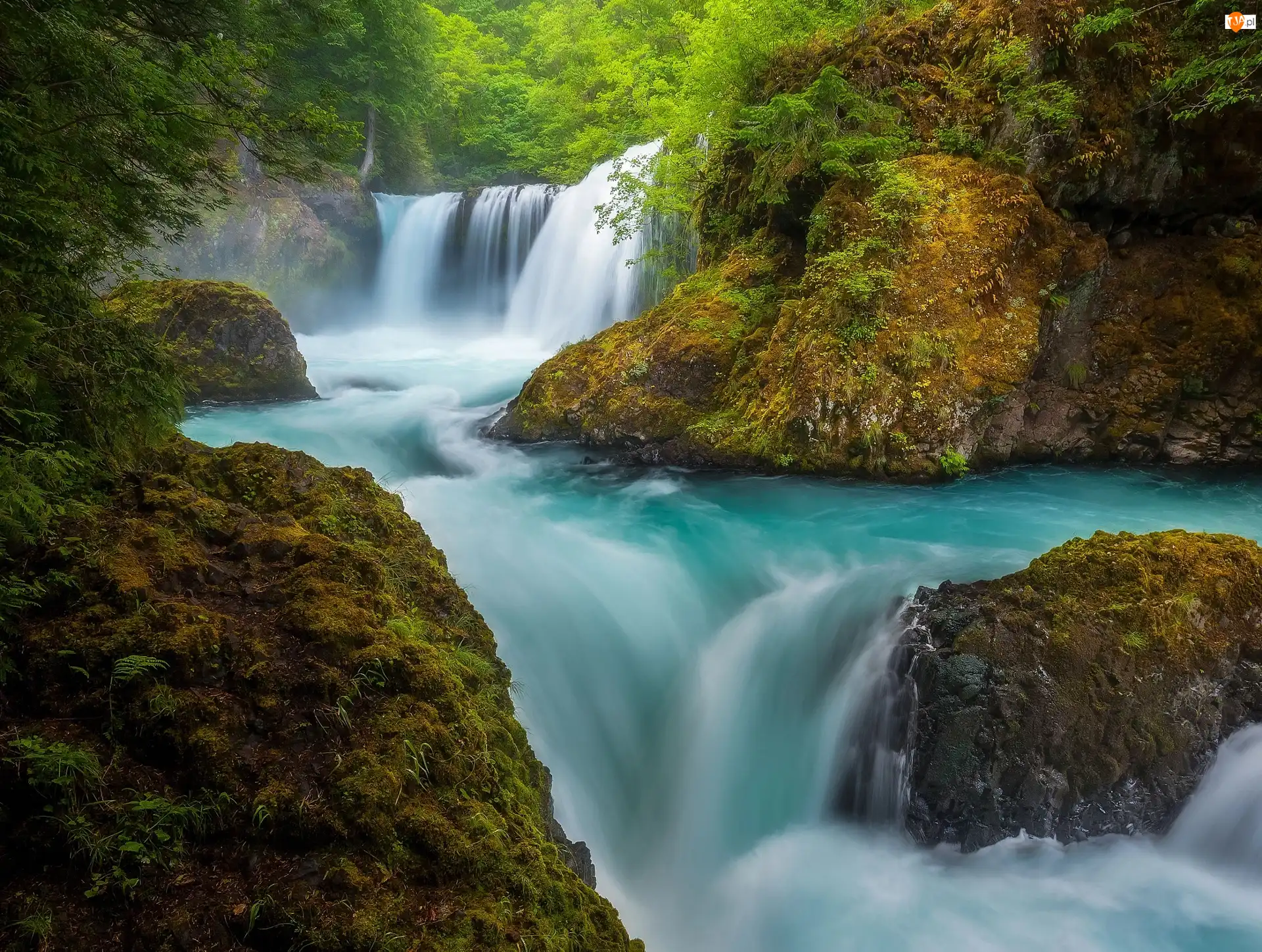 Wodospad Spirit Falls, Hrabstwo Skamania, Roślinność, Rzeka Salmon River, Skały, Stany Zjednoczone, Stan Waszyngton