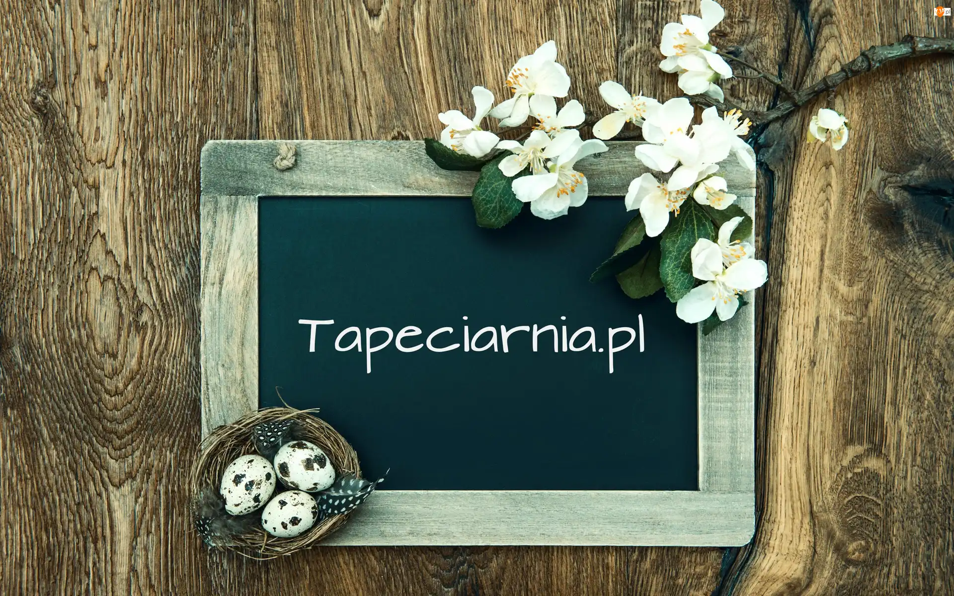 Kompozycja, Ramka, Gniazdo, Kwiaty