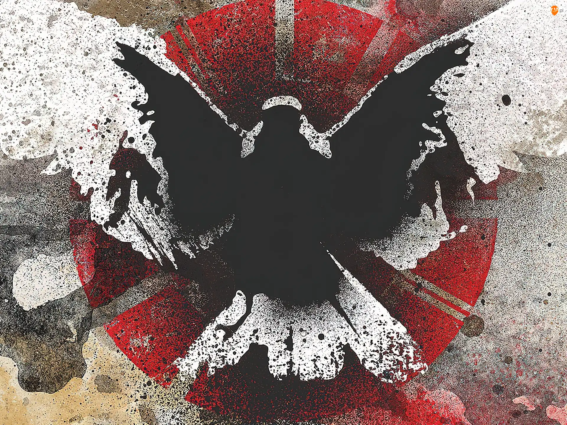 skrzydła, Converge