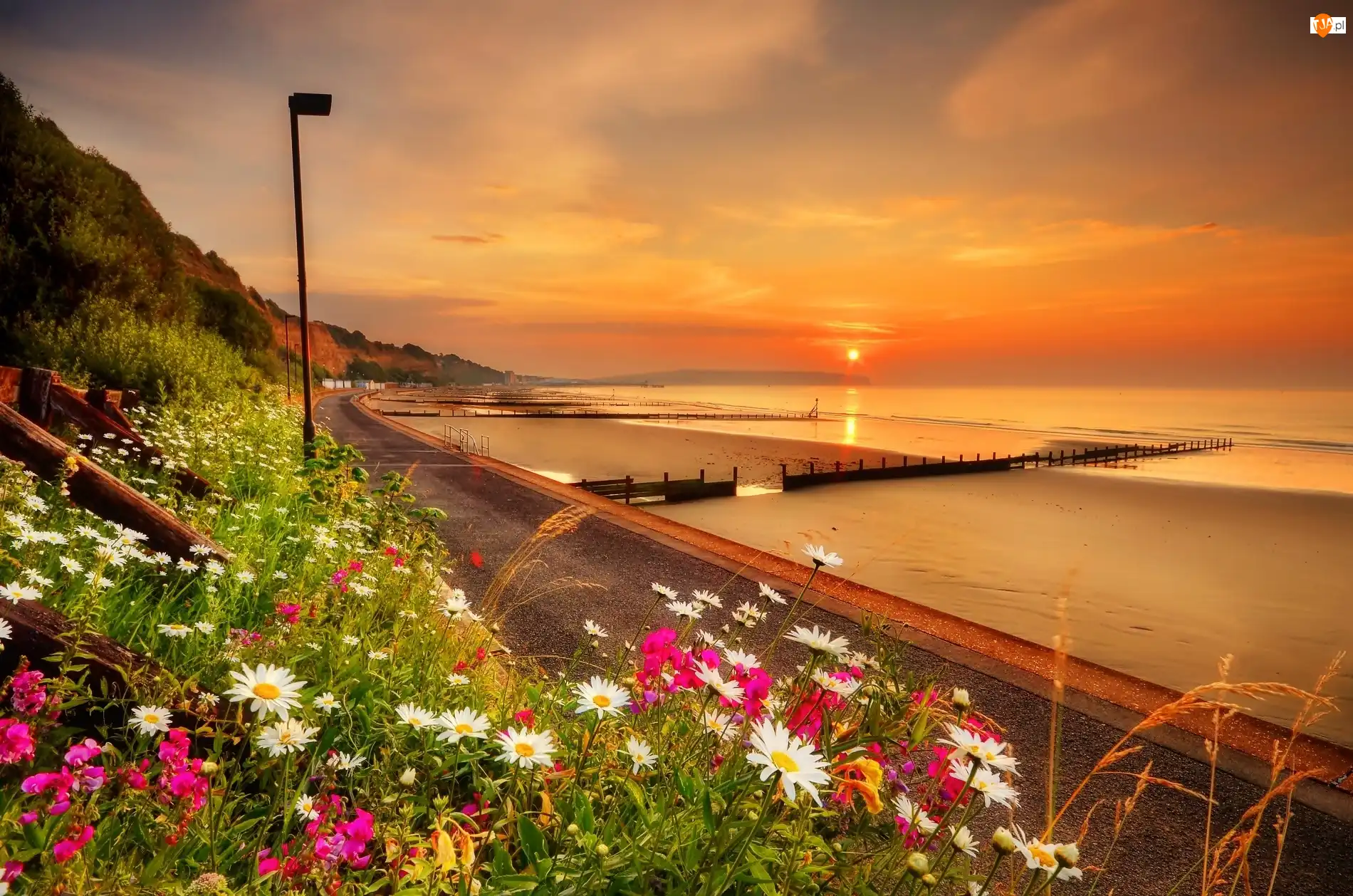 Sandown Bay, Zatoka, Morze, Anglia, Plaża, Wschód Słońca