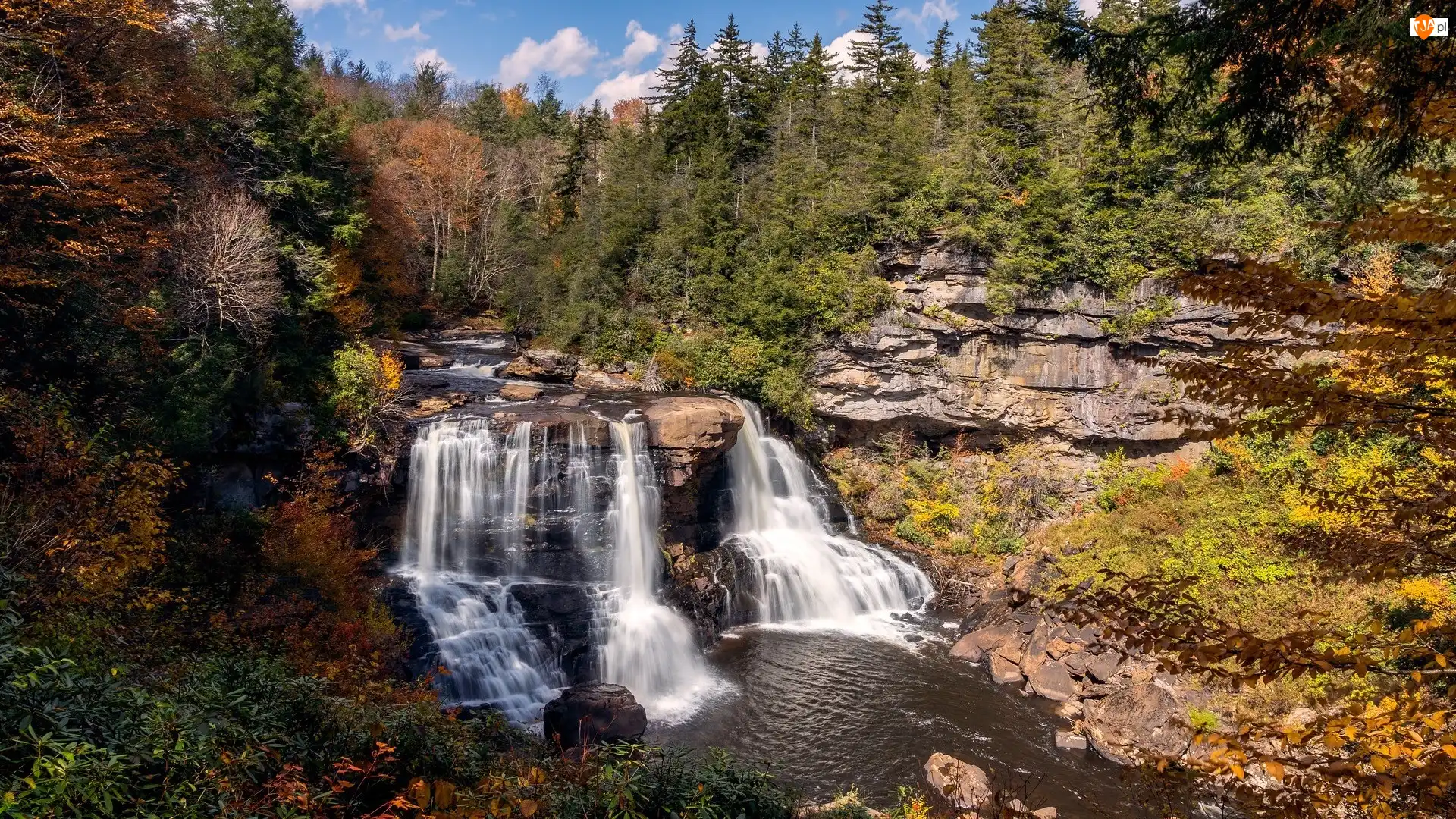 Rzeka Blackwater, Skały, Drzewa, Wirginia, Wodospad, Rośliny, Stany Zjednoczone, Blackwater Falls