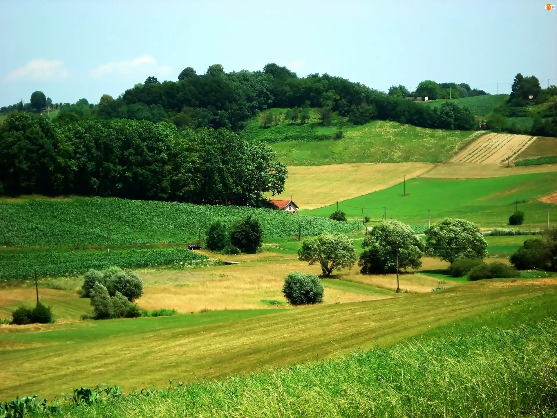 Pola, Wzgórza, Lasy