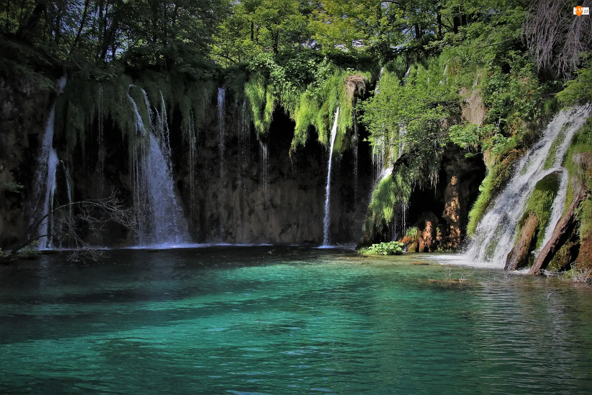 Park Narodowy Jezior Plitwickich, Chorwacja, Jezioro, Wodospad, Plitvice, Rośliny