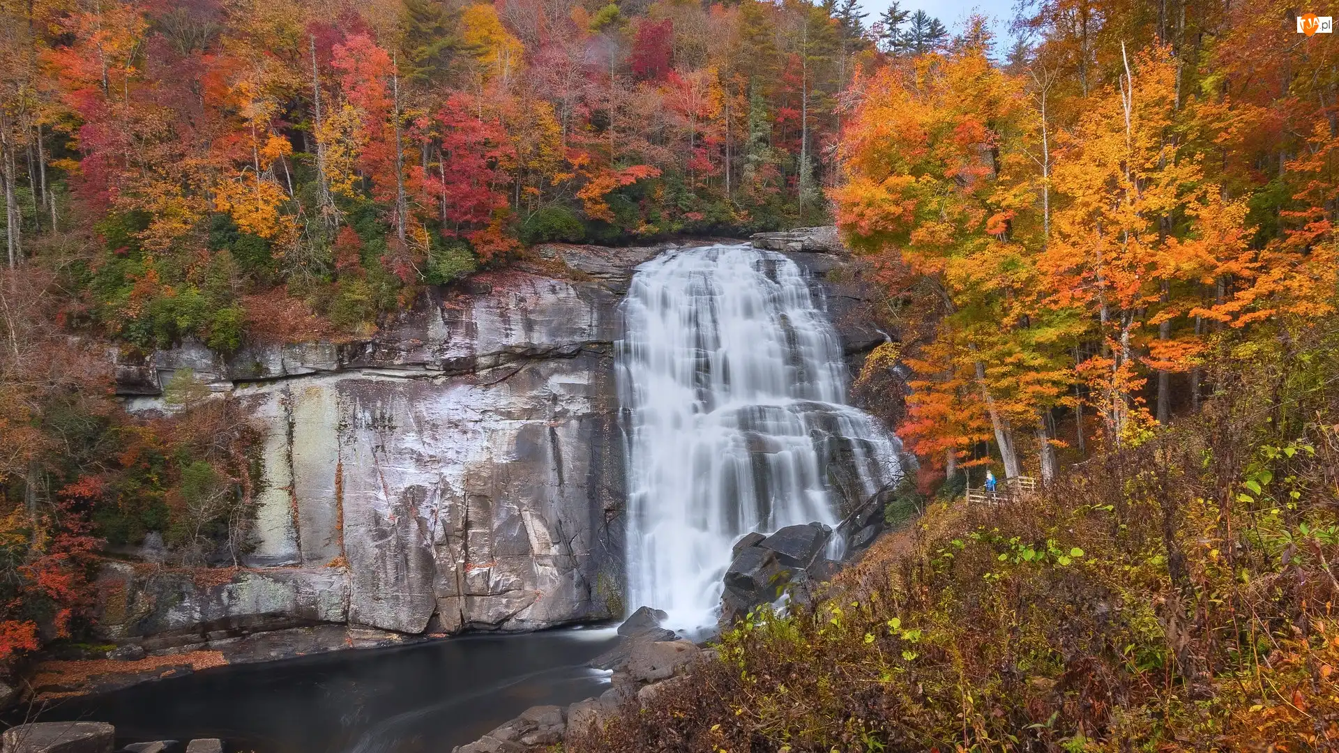Stany Zjednoczone, Drzewa, Gorges State Park, Kolorowe, Skały, Jesień, Rainbow Falls, Wodospad, Rzeka, Karolina Północna