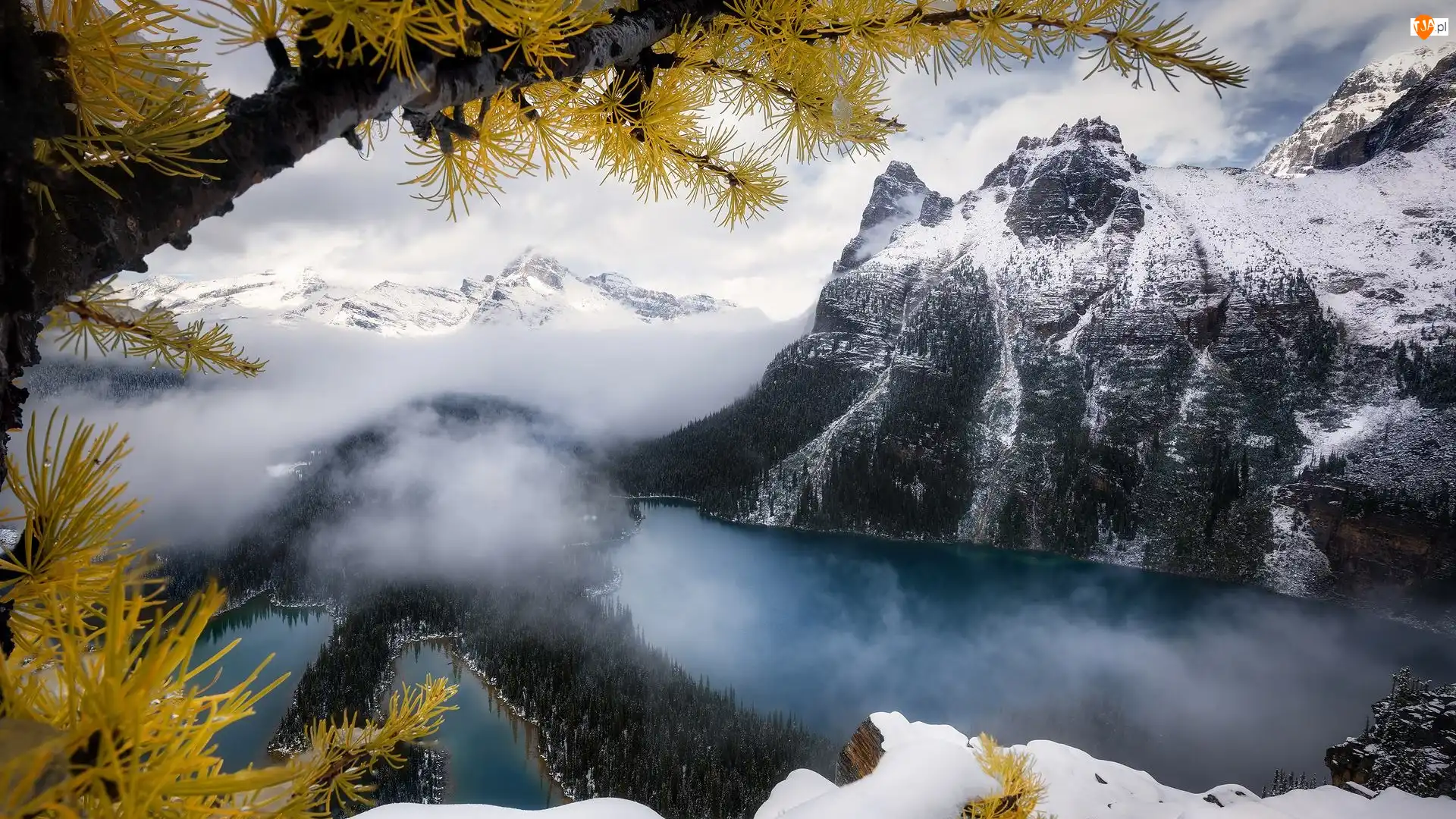 Kanada, Canadian Rockies, Park Narodowy Yoho, Mgła, Chmury, Jezioro, OHara Lake, Góry, Las