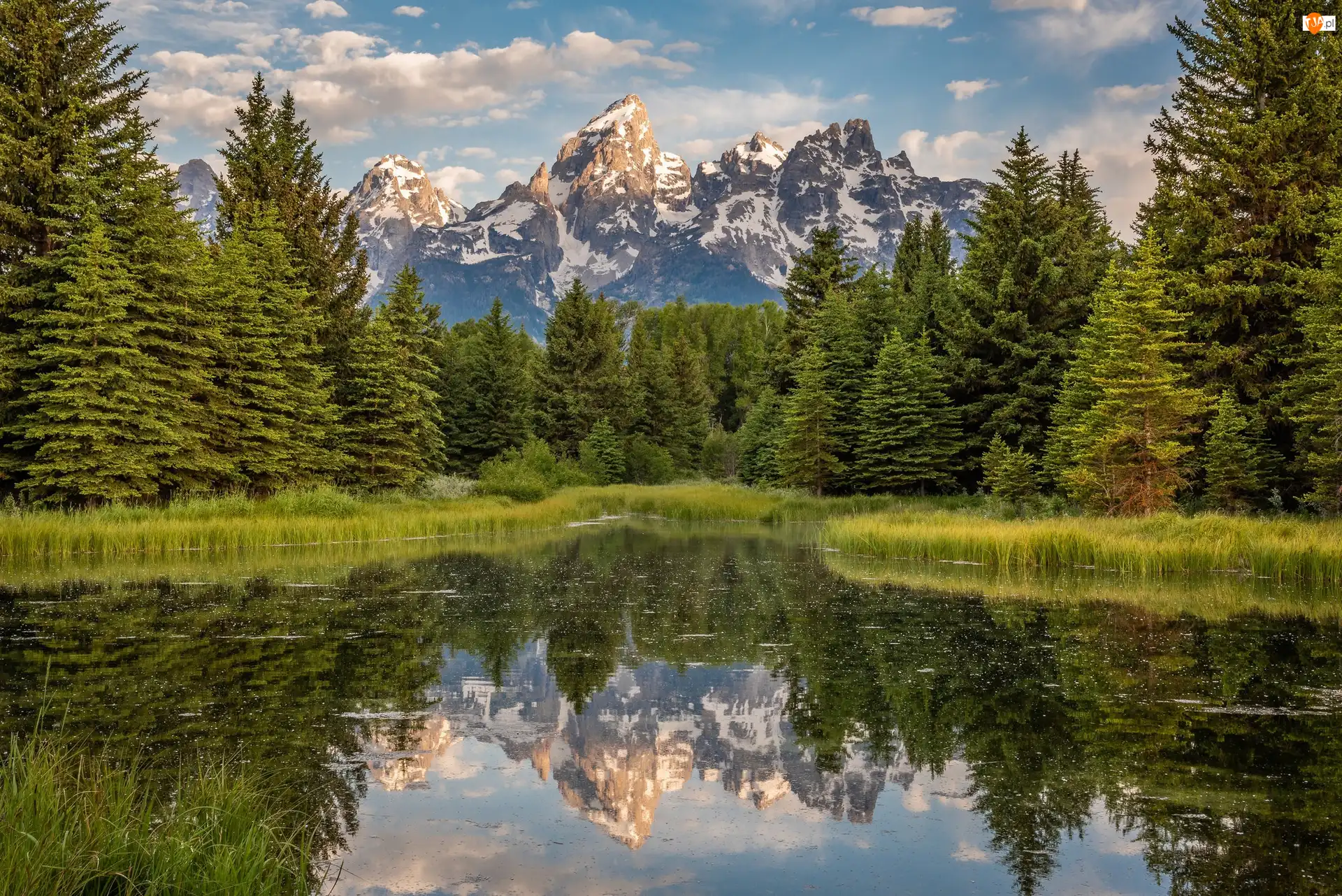Stany Zjednoczone, Rzeka Snake River, Stan Wyoming, Chmury, Odbicie, Góry Teton Range, Las, Park Narodowy Grand Teton, Drzewa