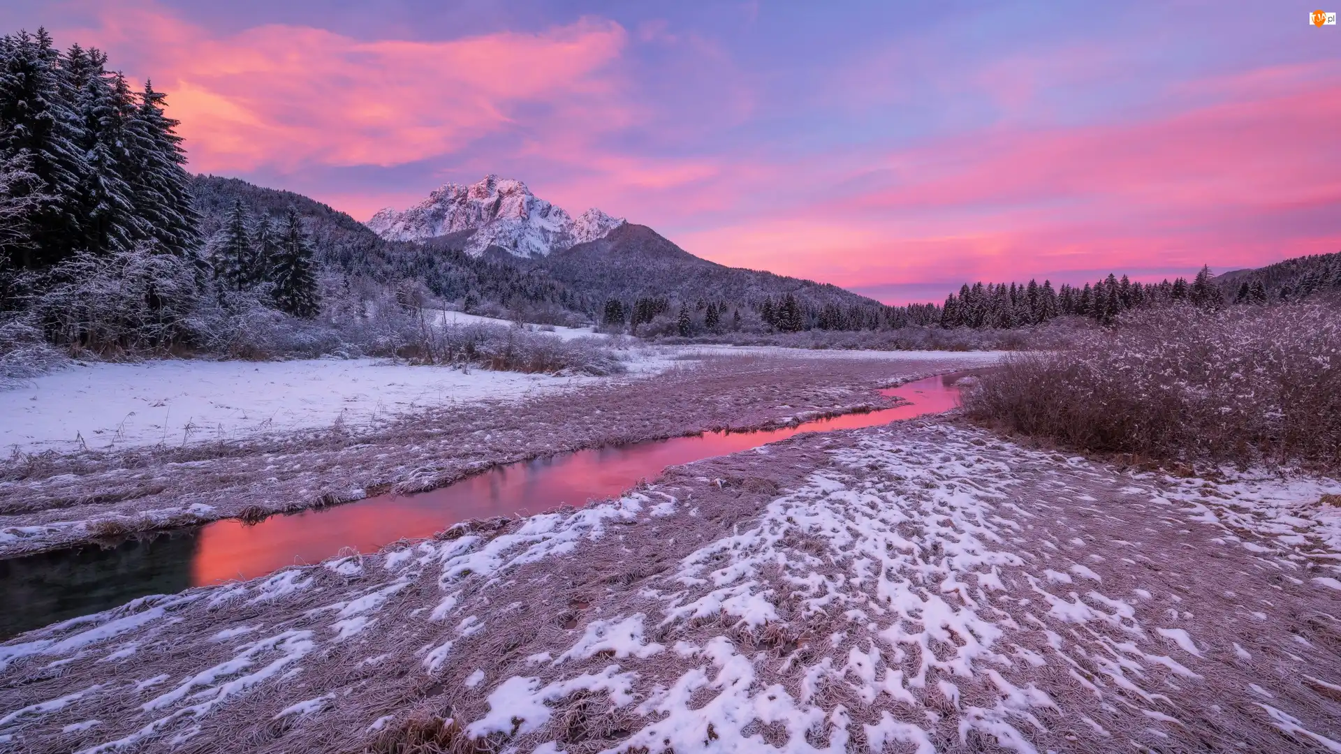 Kranjska Góra, Rezerwat przyrody Zelenci Springs, Drzewa, Słowenia, Rzeka, Zima, Wschód słońca