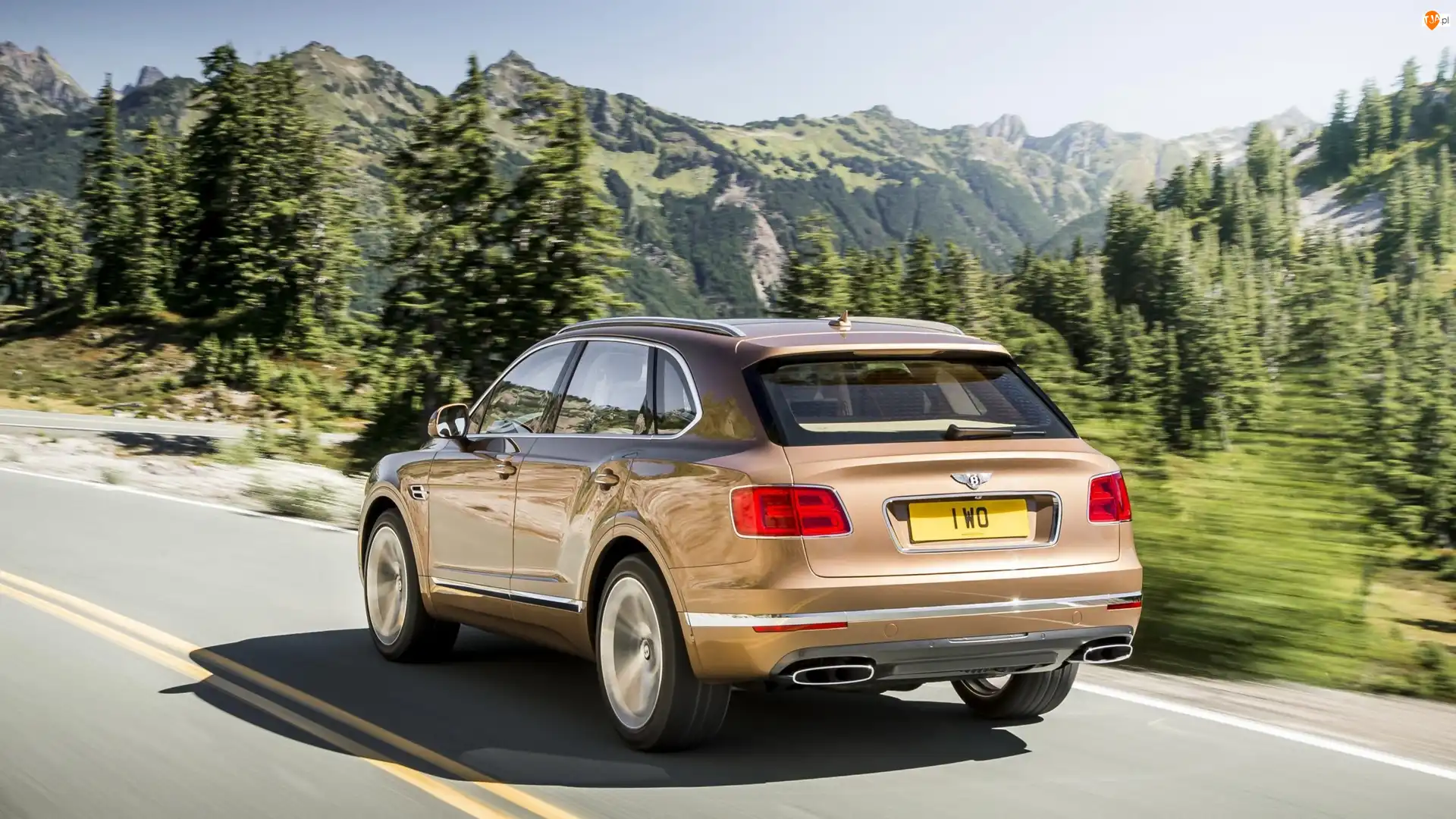 Góry, Bentley Bentayga, Tył, Droga