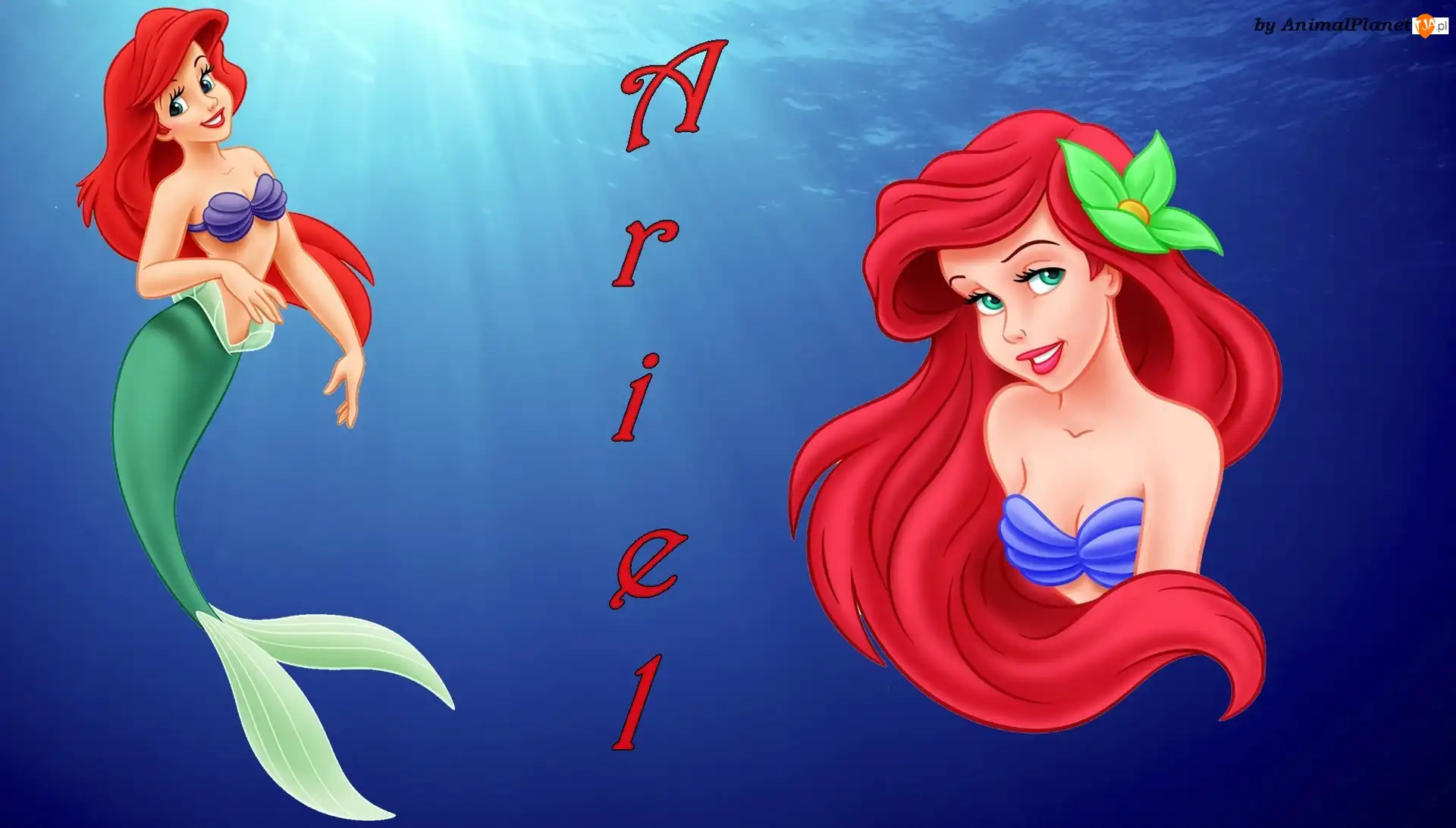 Bajka, Ariel, The Little Mermaid, Mała Syrenka, Syrenka
