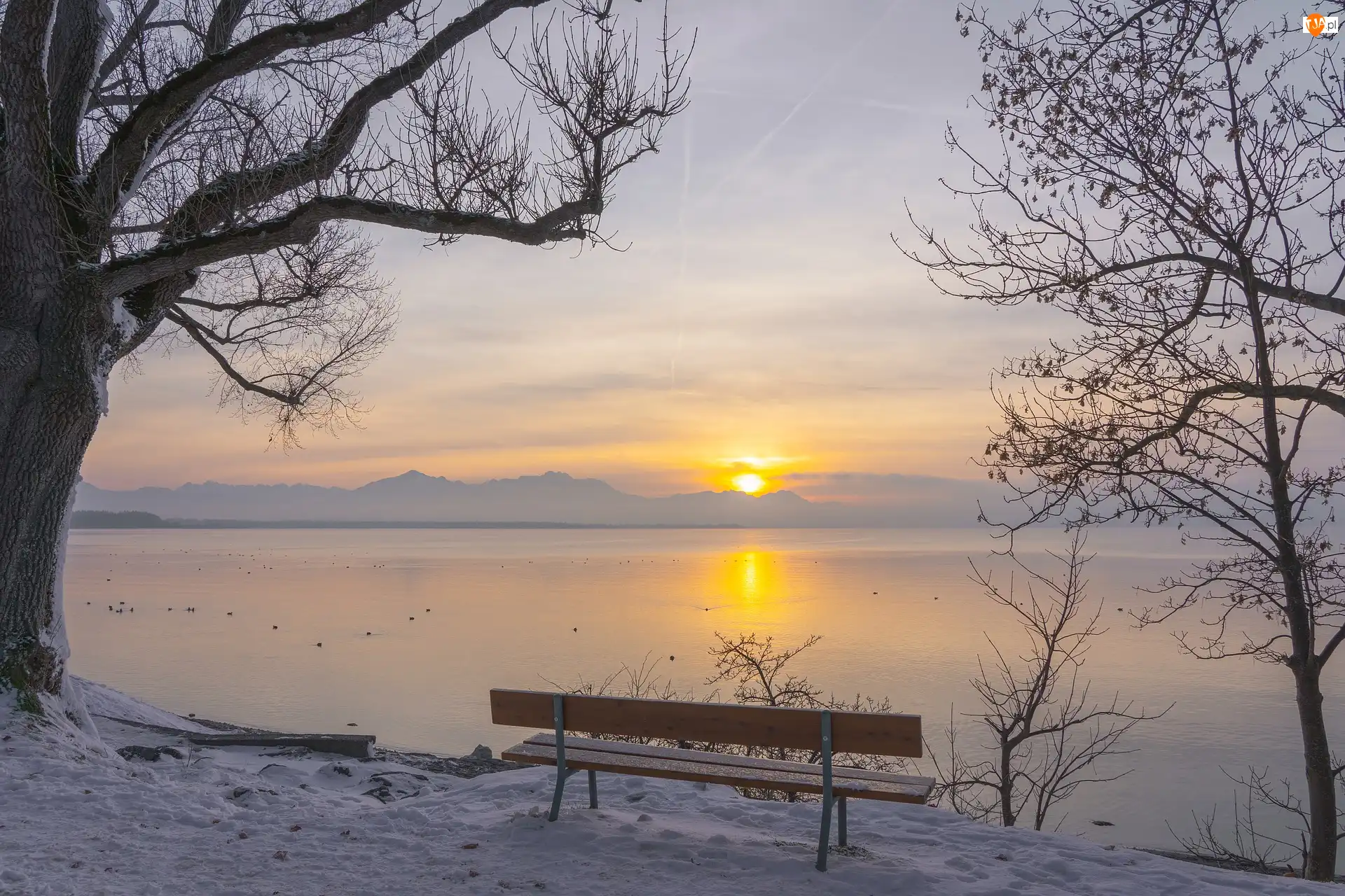 Jezioro, Zachód słońca, Ławka, Zima, Drzewo