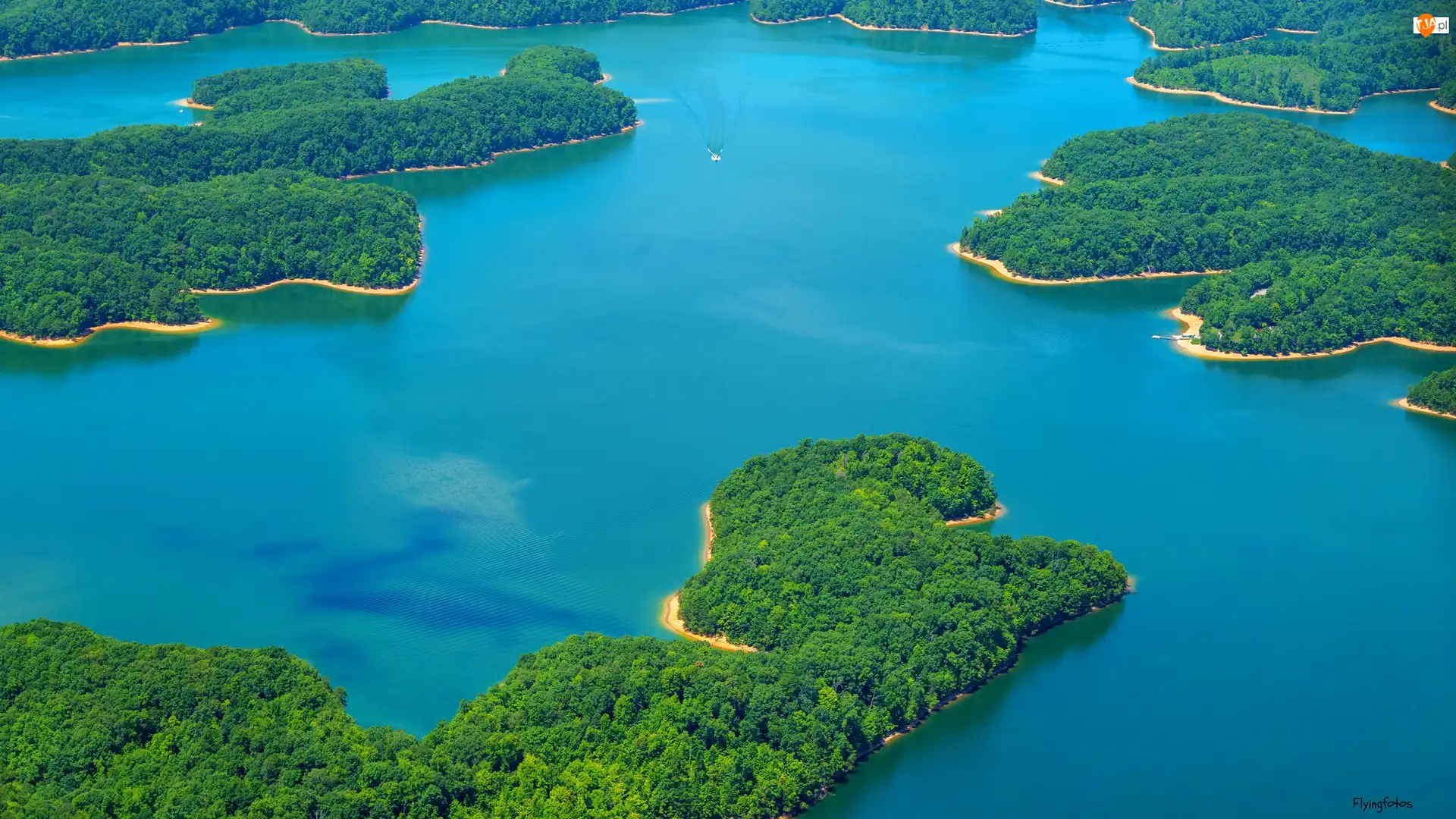 Laurel River Lake, Jezioro, Półwyspy, Stany Zjednoczone, Zadrzewione, Kentucky