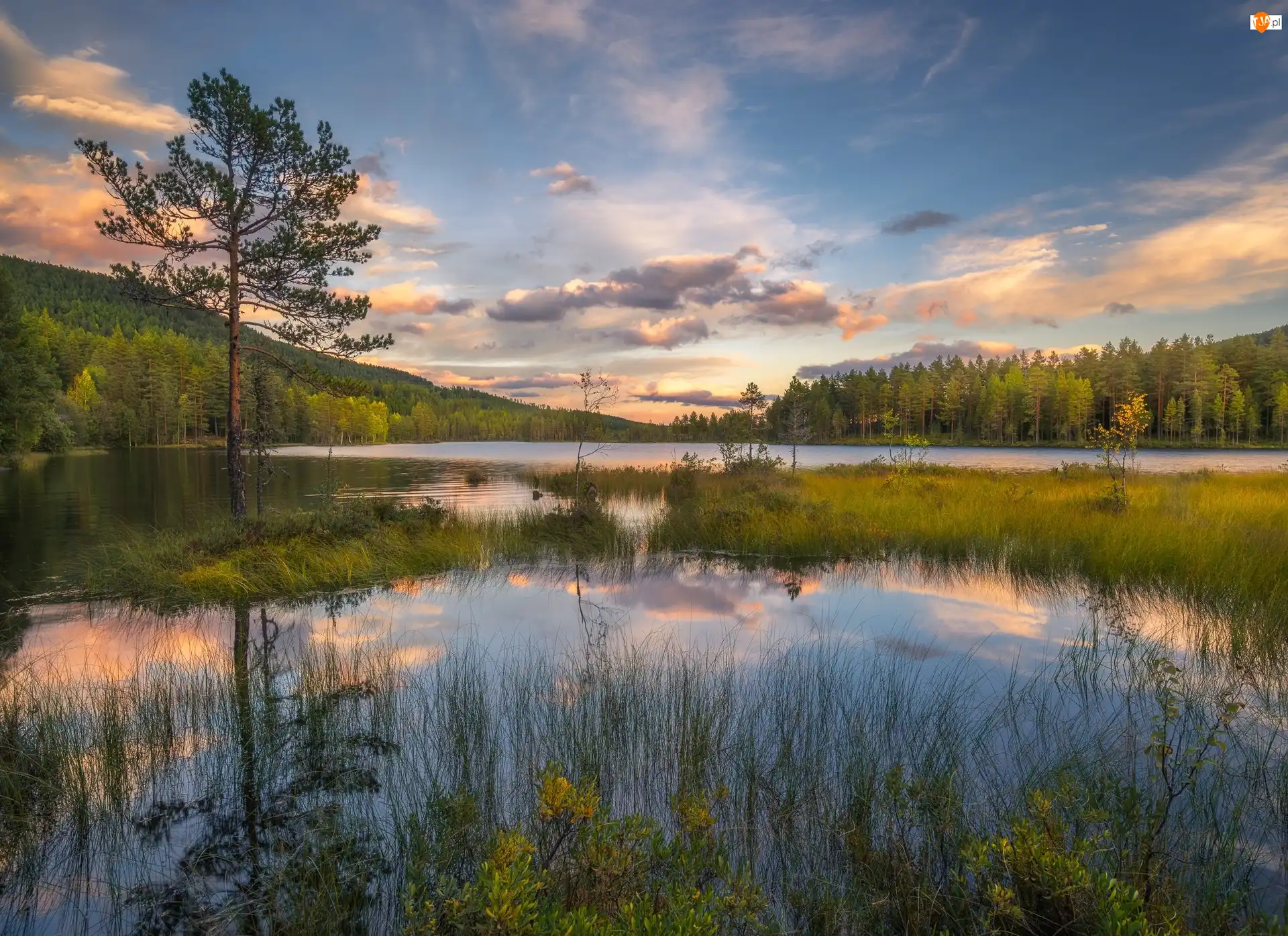 Miejscowość Sokna, Jezioro, Chmury, Gmina Ringerike, Drzewa, Odbicie, Norwegia, Trawy
