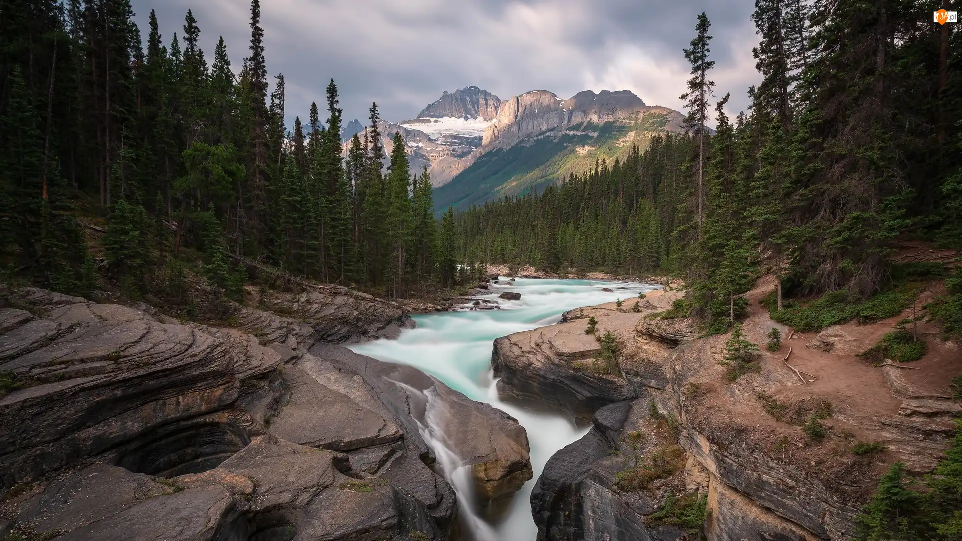 Mount Sarbach, Mistaya River, Góra, Kanada, Park Narodowy Banff, Rzeka, Las, Canadian Rockies, Skały, Drzewa, Góry, Alberta