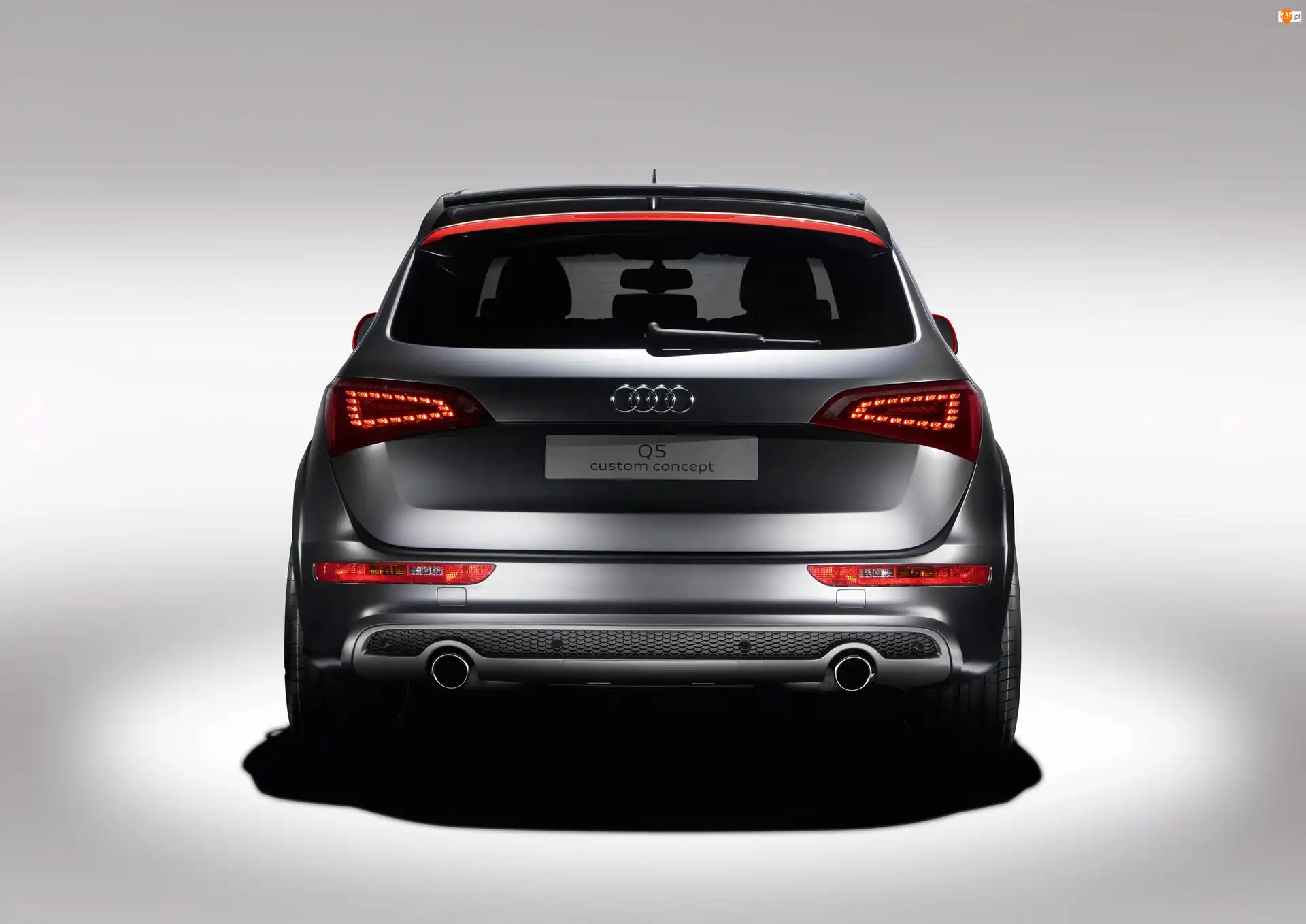 Concept, Tył, Audi Q5