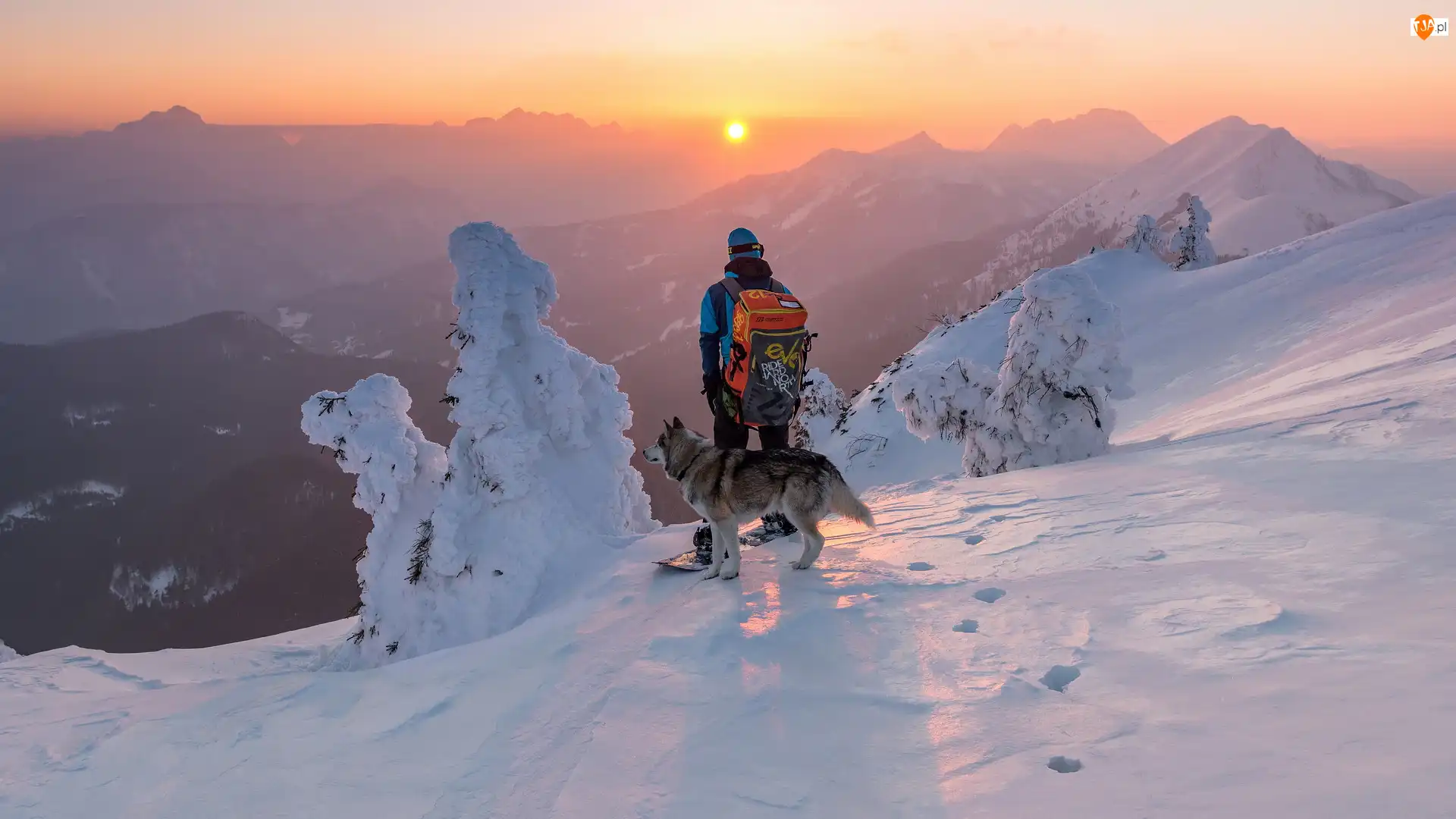 Snowboardzista, Góry, Drzewa, Pies, Zima, Mężczyzna, Zachód słońca, Ośnieżone