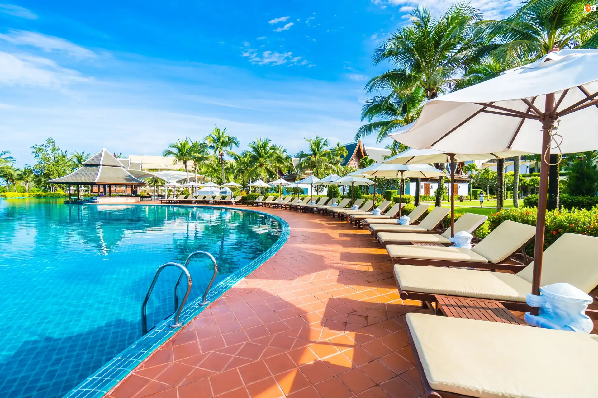 Domki, Palmy, Parasole, Leżaki, Basen