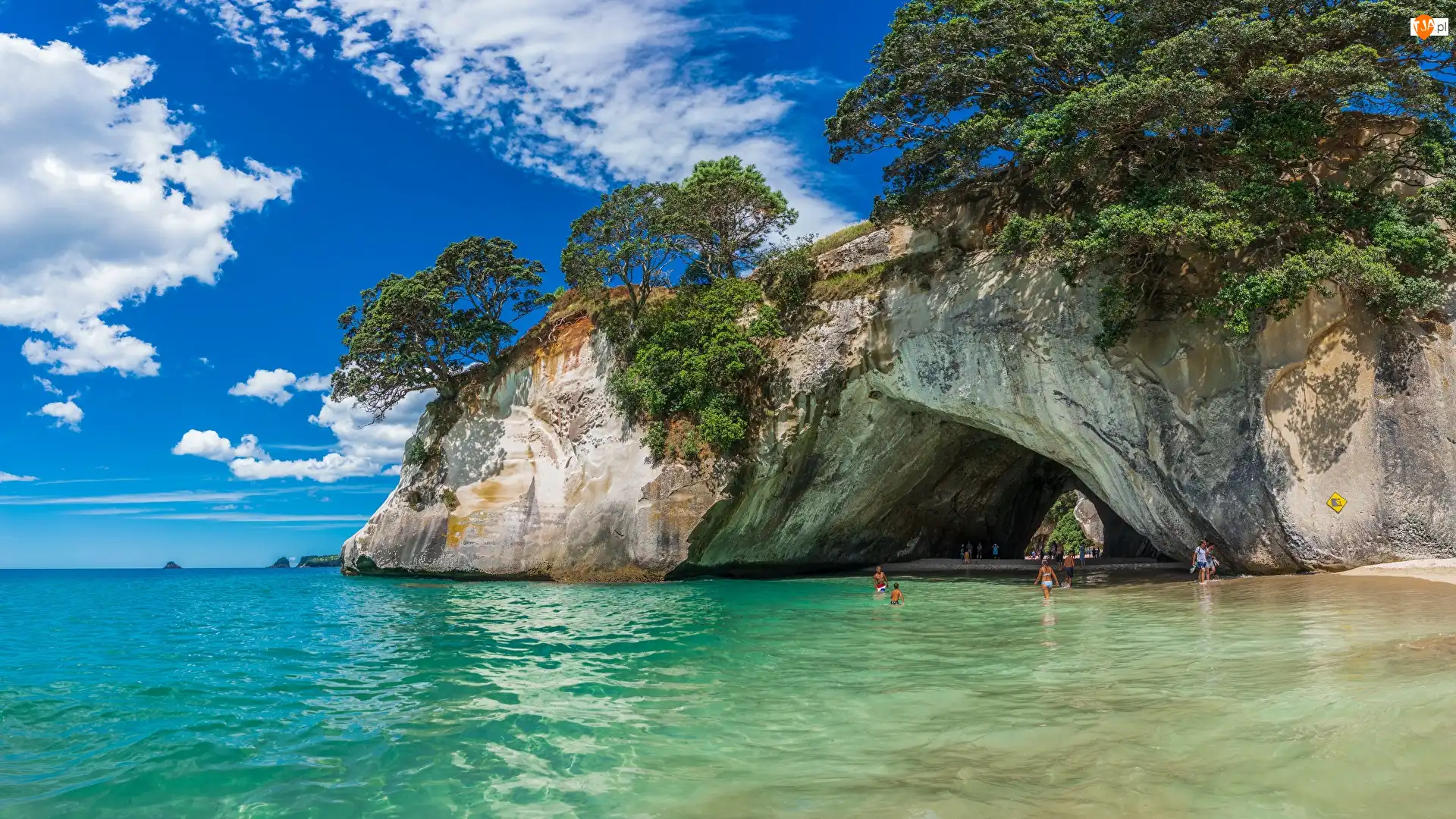 Region Waikato, Morze, Jaskinia, Półwysep Coromandel, Skały, Cathedral Cove, Nowa Zelandia, Drzewa