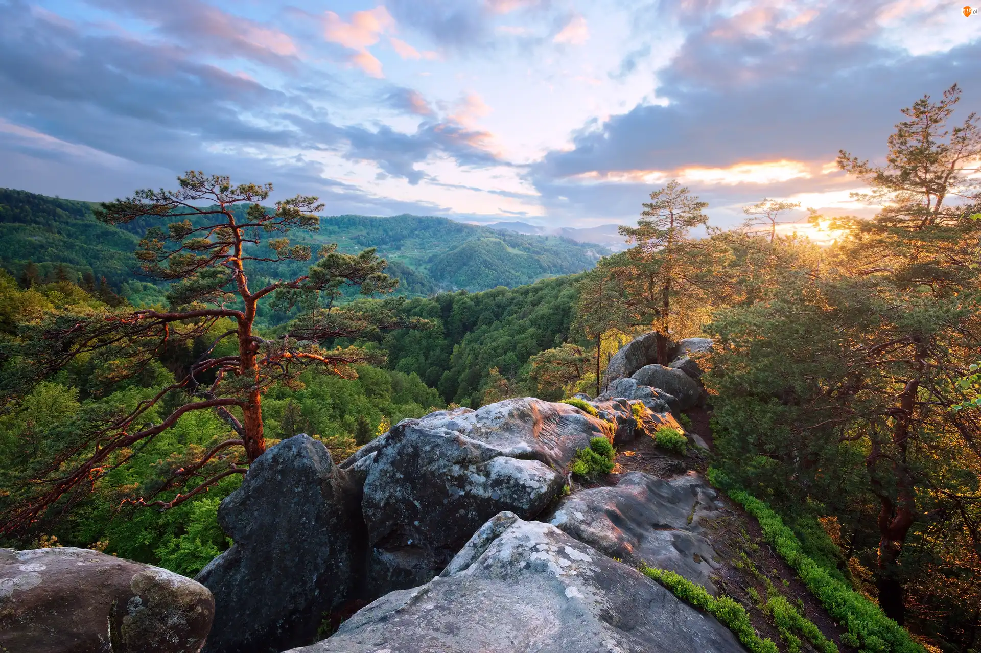 Karpaty, Skała, Zachód słońca, Ukraina, Drzewa, Góry, Las