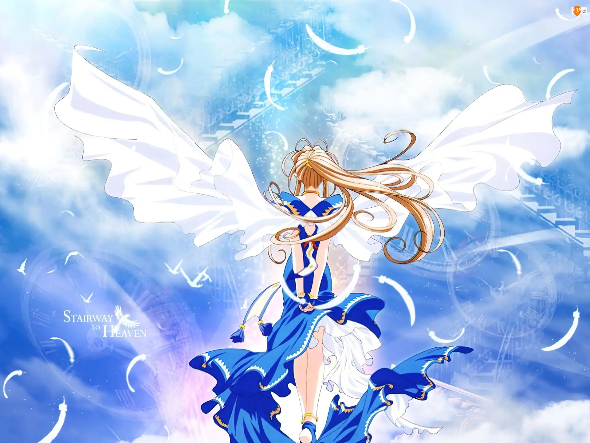 skrzydła, Oh My Goddess, kobieta