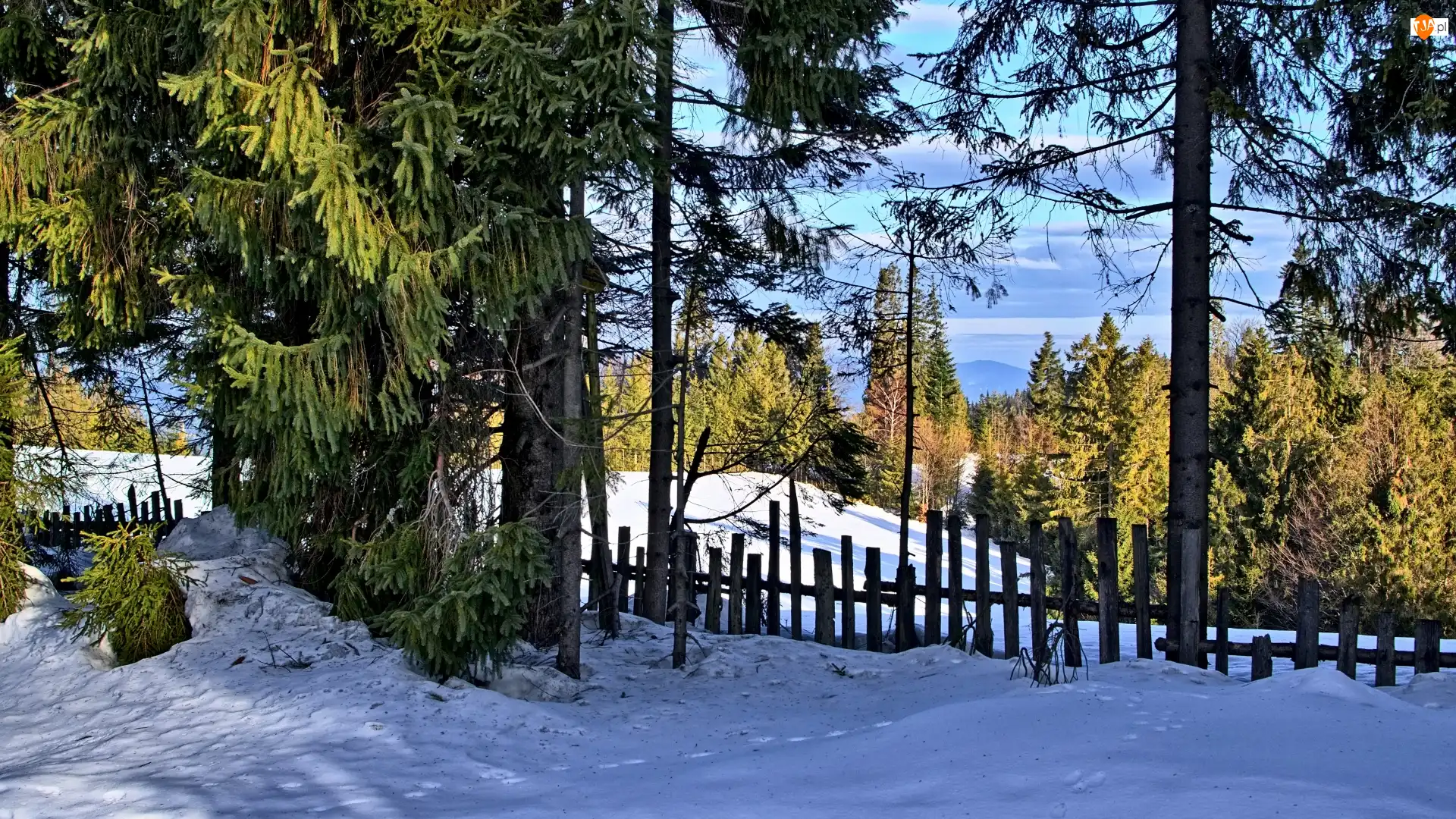 Śnieg, Zima, Drzewa, Dzień, Płot, Słoneczny