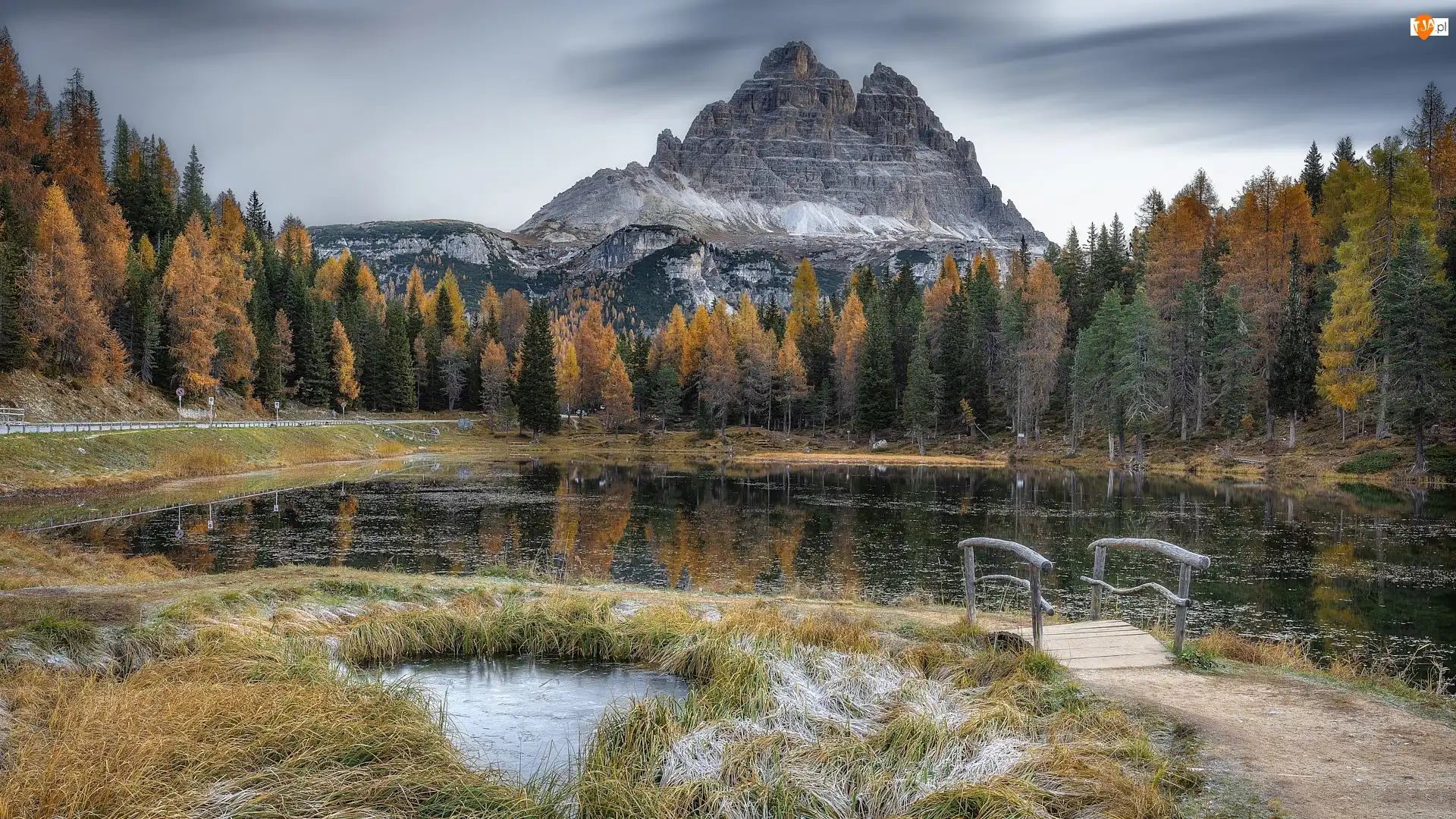 Włochy, Tre Cime di Lavaredo, Drzewa, Masyw, Antorno Lake, Jezioro, Góry, Mostek, Dolomity, Prowincja Belluno