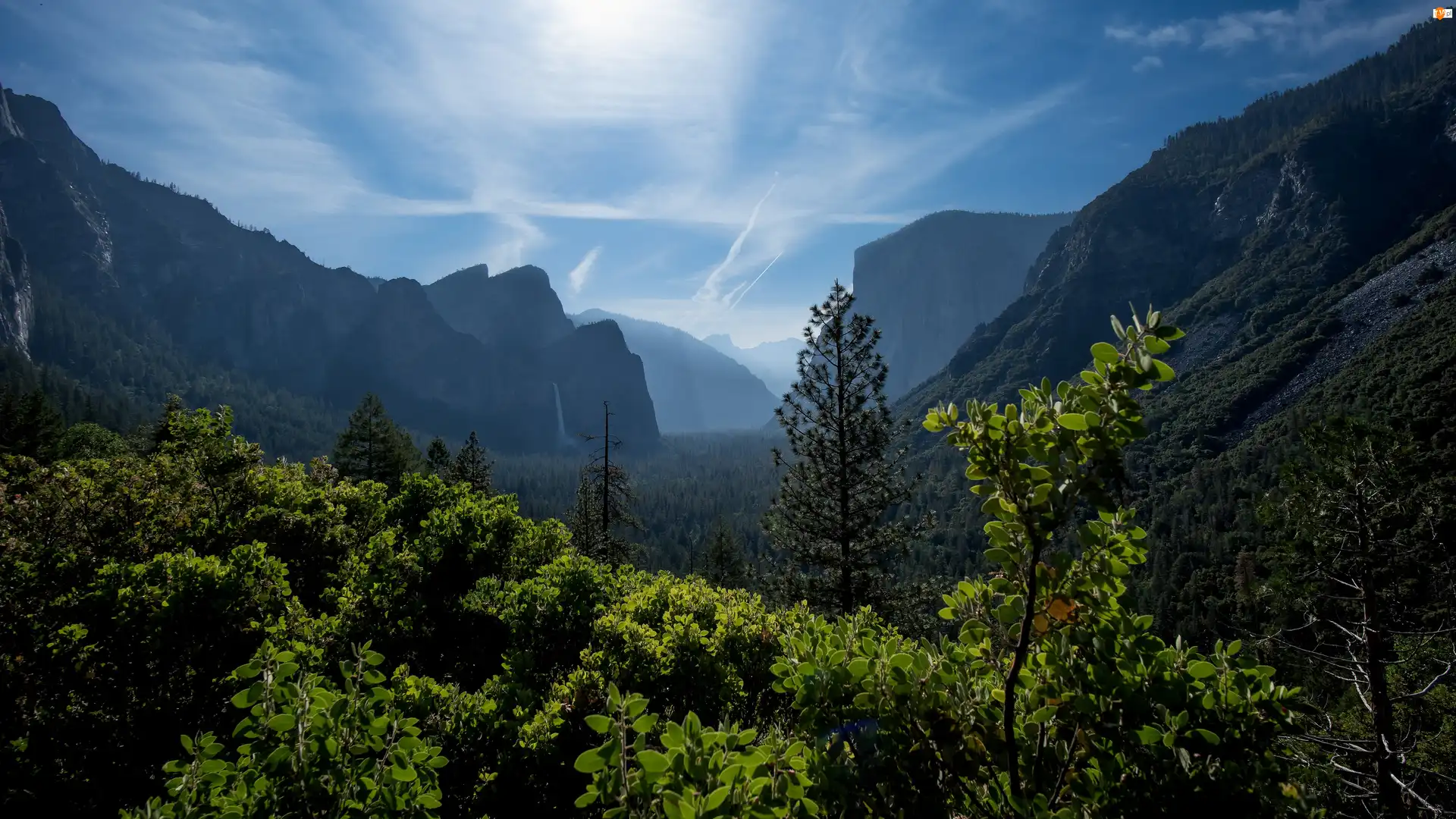 Stany Zjednoczone, Góry, Kalifornia, Liście, Wodospad, Drzewa, Mgła, Park Narodowy Yosemite, Skały