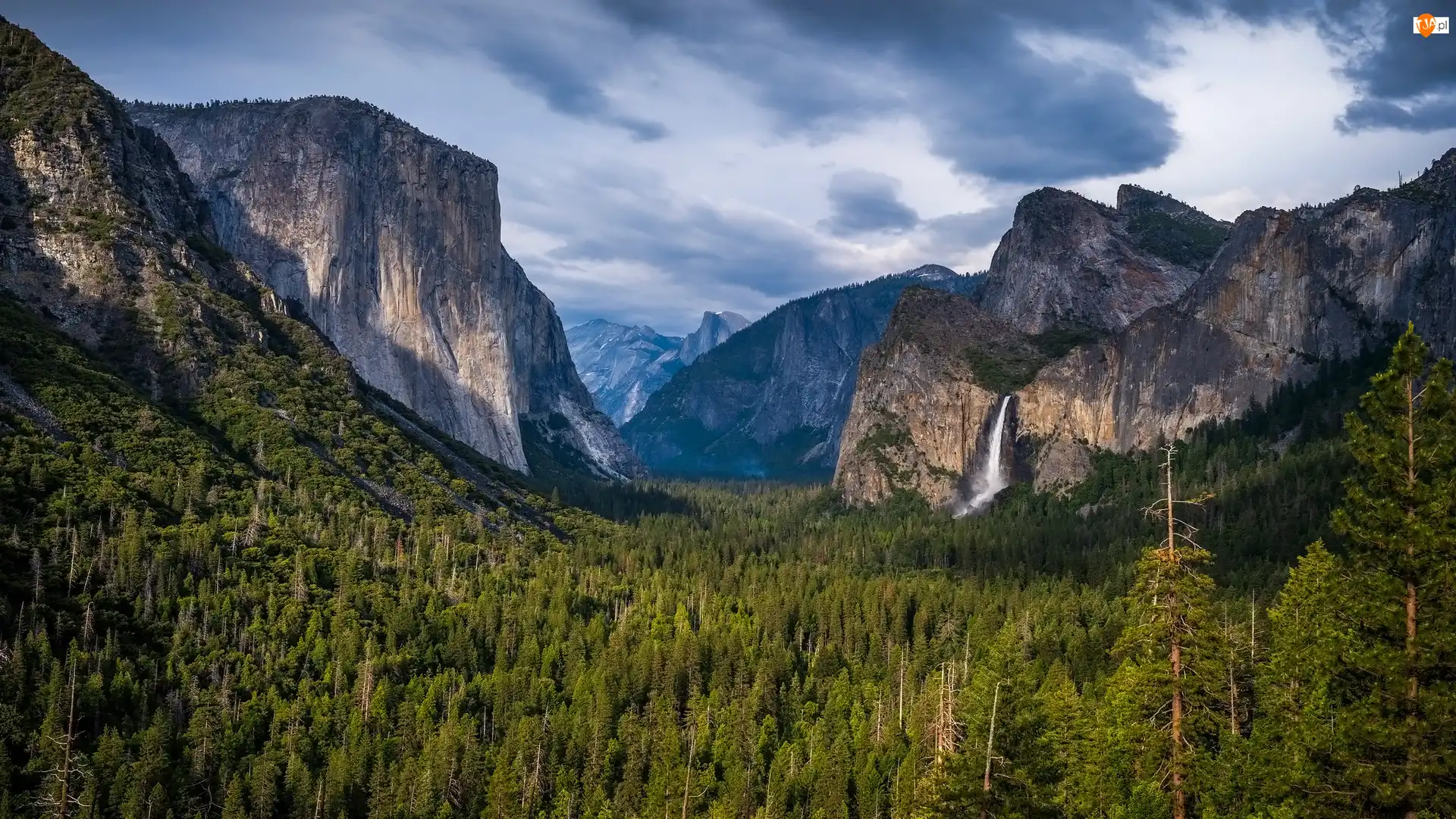 Yosemite, Góry, Bridalveil Fall, Stan Kalifornia, Drzewa, Park Narodowy, Stany Zjednoczone, Wodospad