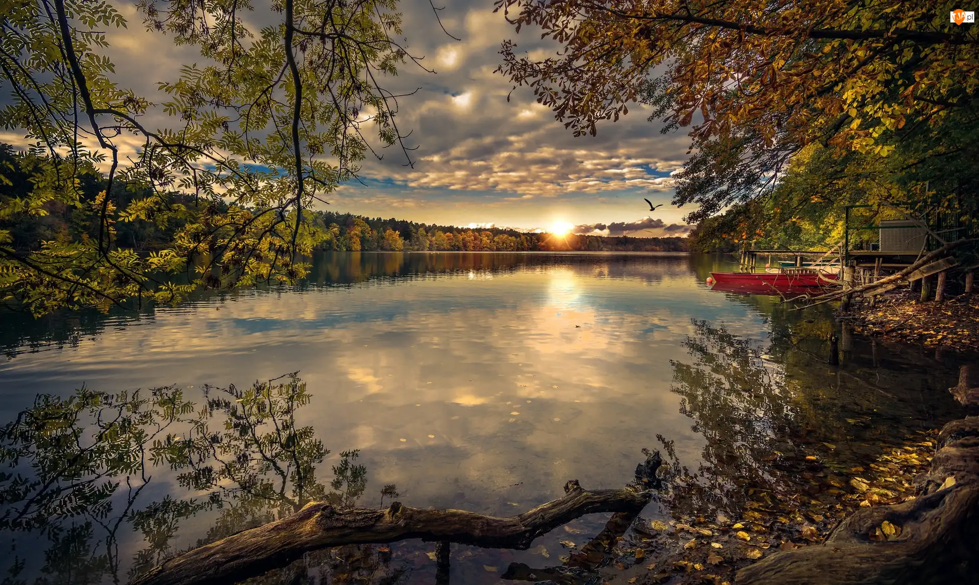 Jesień, Łódka, Drzewa, Jezioro, Zachód słońca