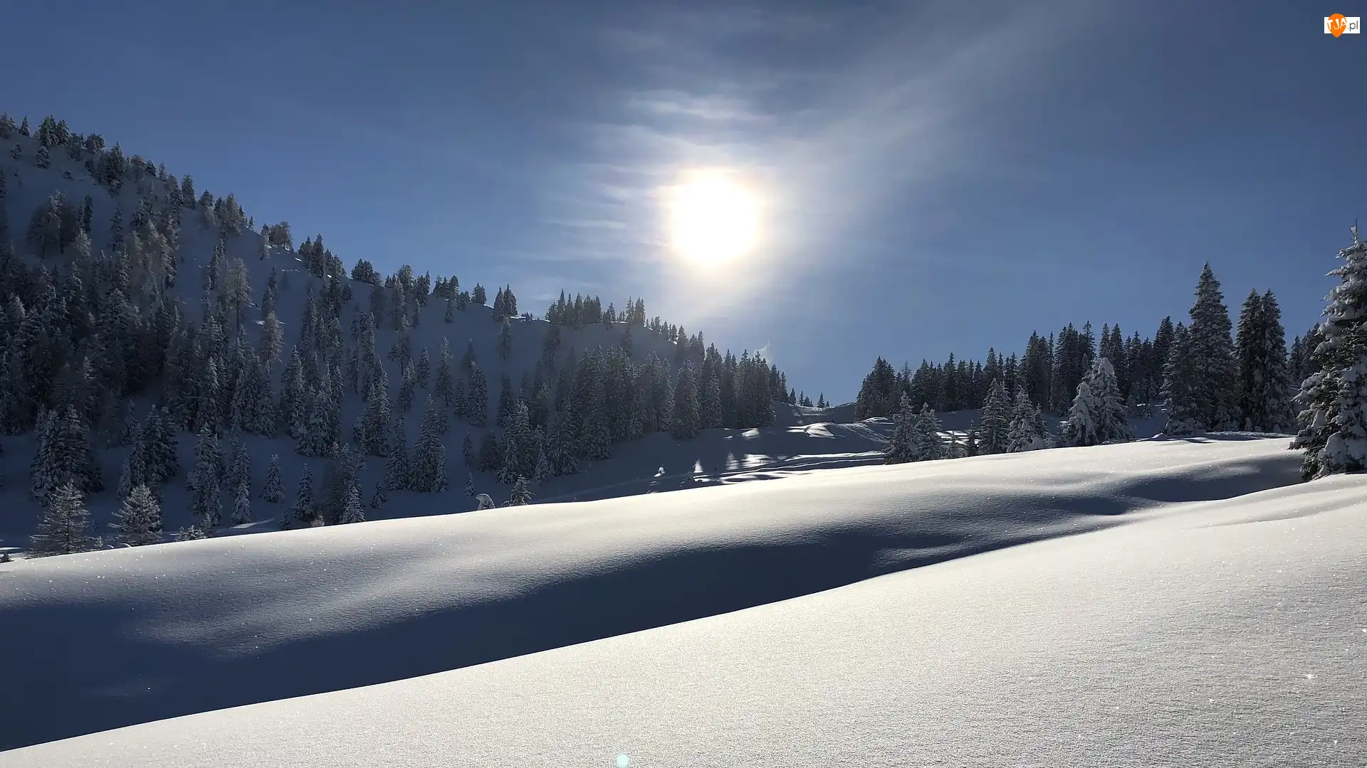 Las, Drzewa, Śnieg, Zima, Promienie słońca