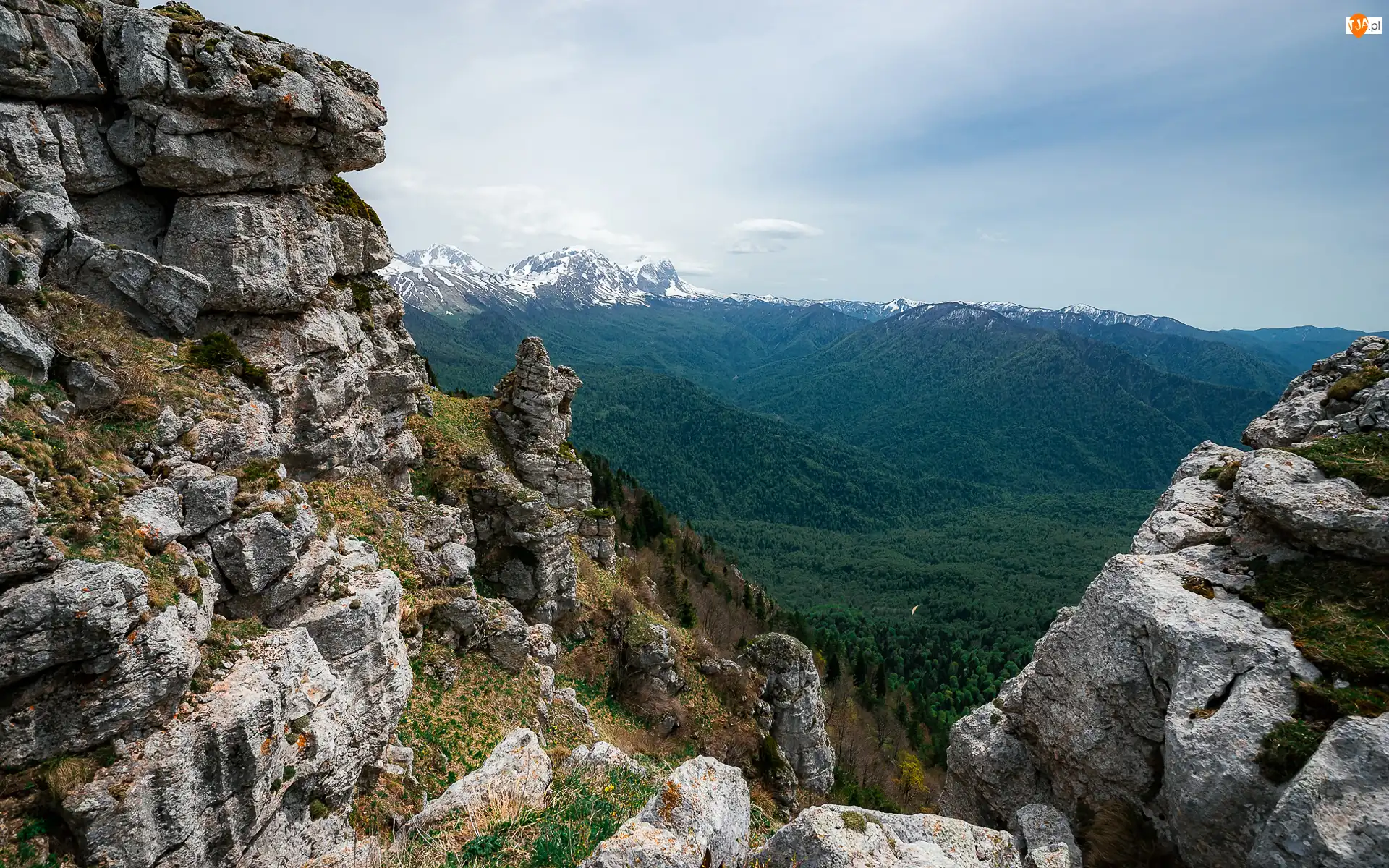 Trawa, Góry, Skały, Drzewa