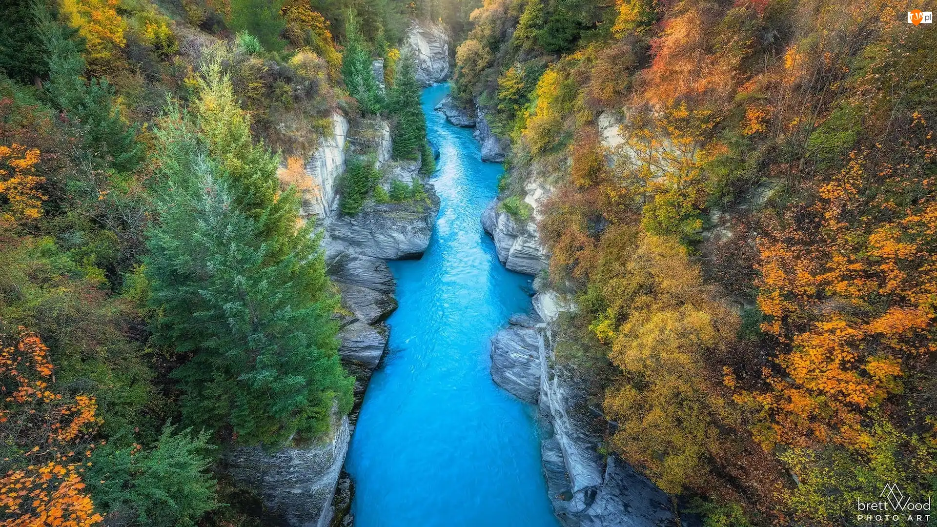 Wąwóz, Nowa Zelandia, Shotover River, Jesień, Queenstown, Skały, Drzewa, Rzeka