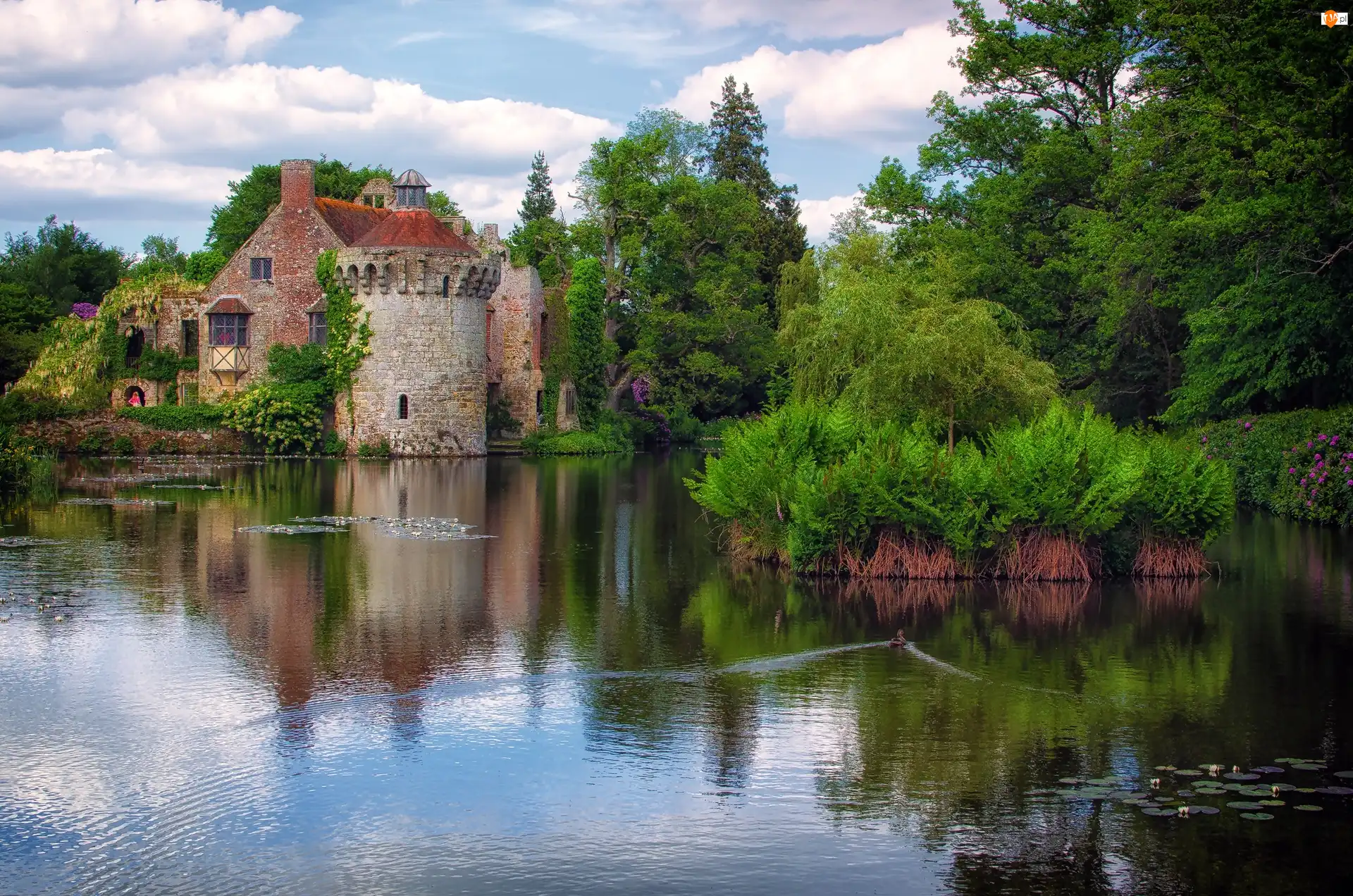 Scotney Castle, Staw, Anglia, Dworek, Hrabstwo Kent, Wieś Lamberhusrt, Drzewa