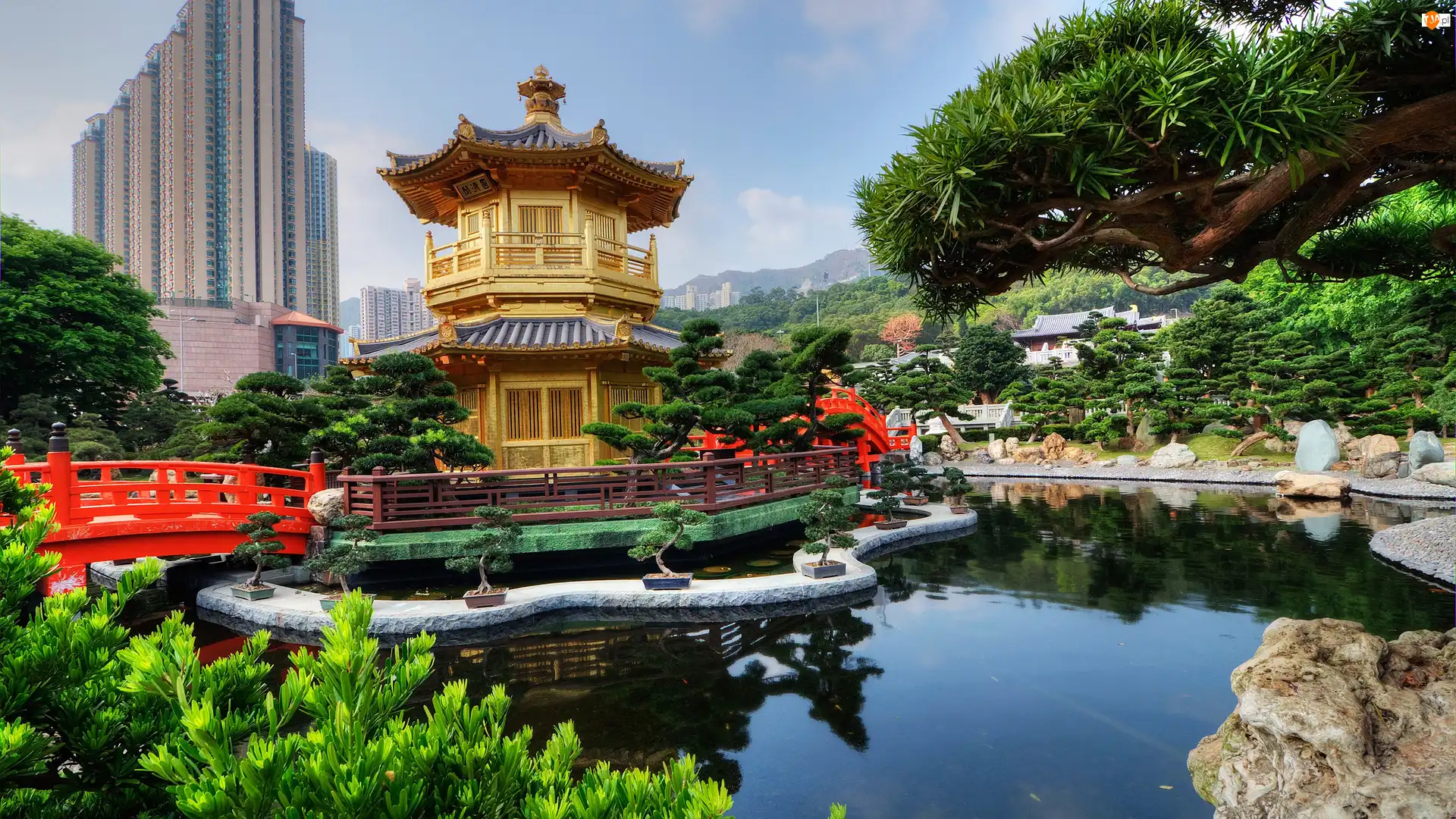 Chiny, Golden Pavilion Chi Lin Nunnery Temple, Hongkong, Most, Diamond Hill, Ogród, Chi Lin Nunnery, Świątynia, Staw
