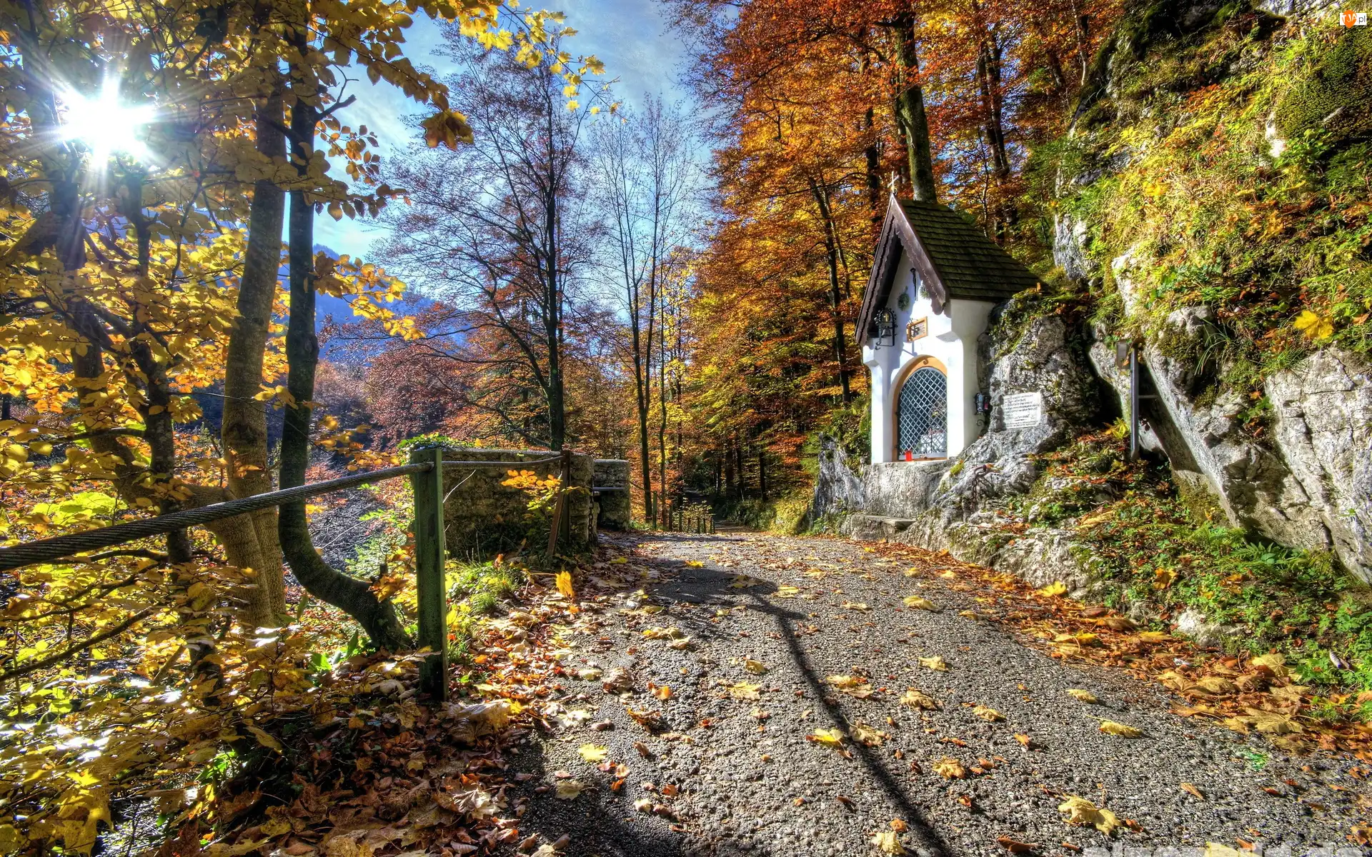 Liście, Drzewa, Skały, Kapliczka