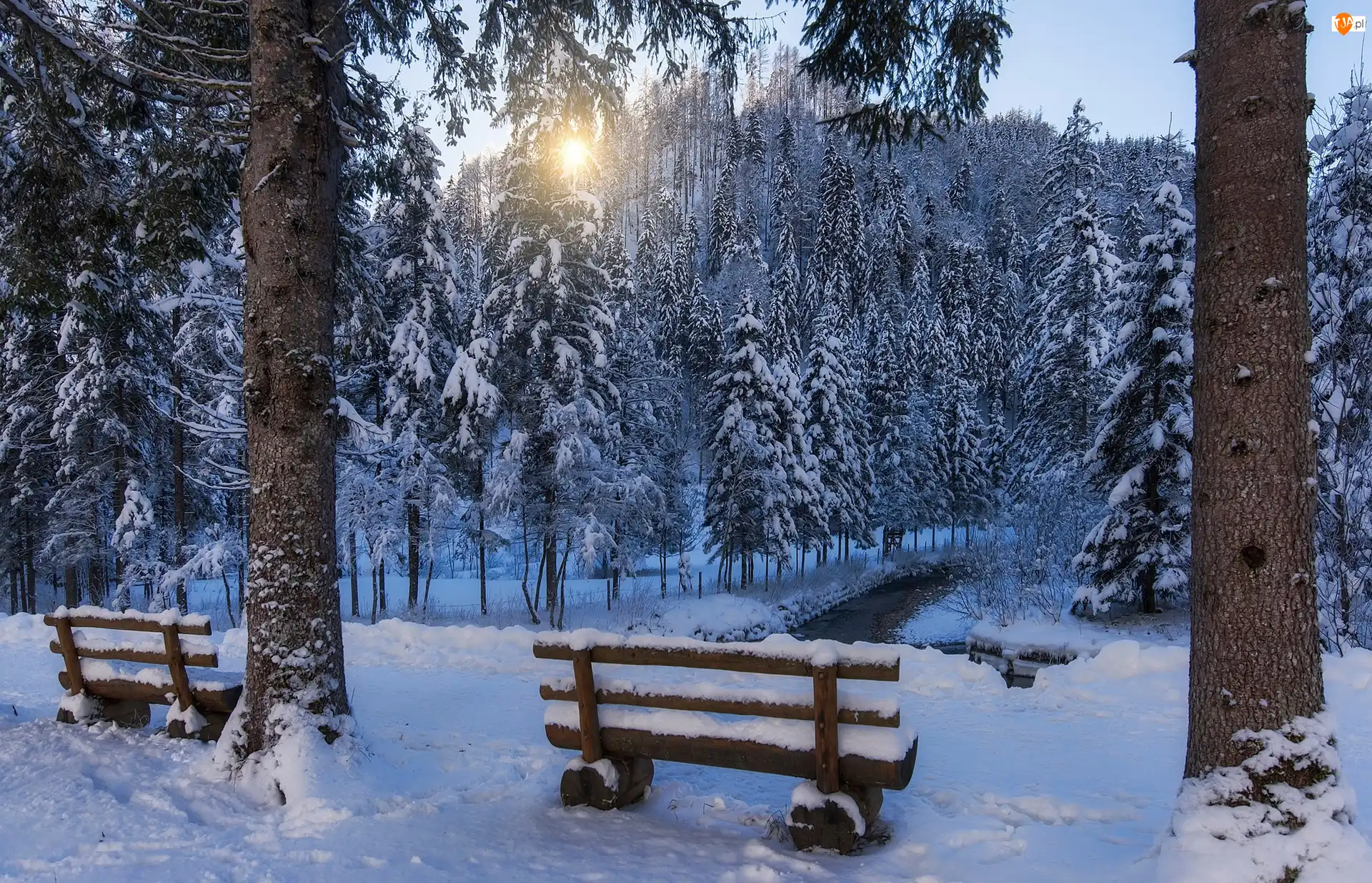Drzewa, Wschód słońca, Park, Zima, Ławki