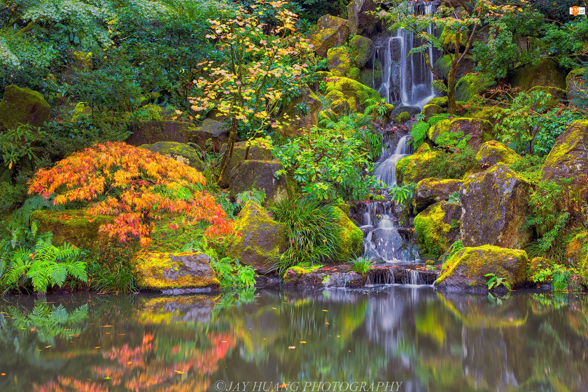 Stany Zjednoczone, Portland Japanese Garden, Portland, Skały, Drzewa, Ogród japoński, Roślinność, Krzewy, Wodospad, Oregon